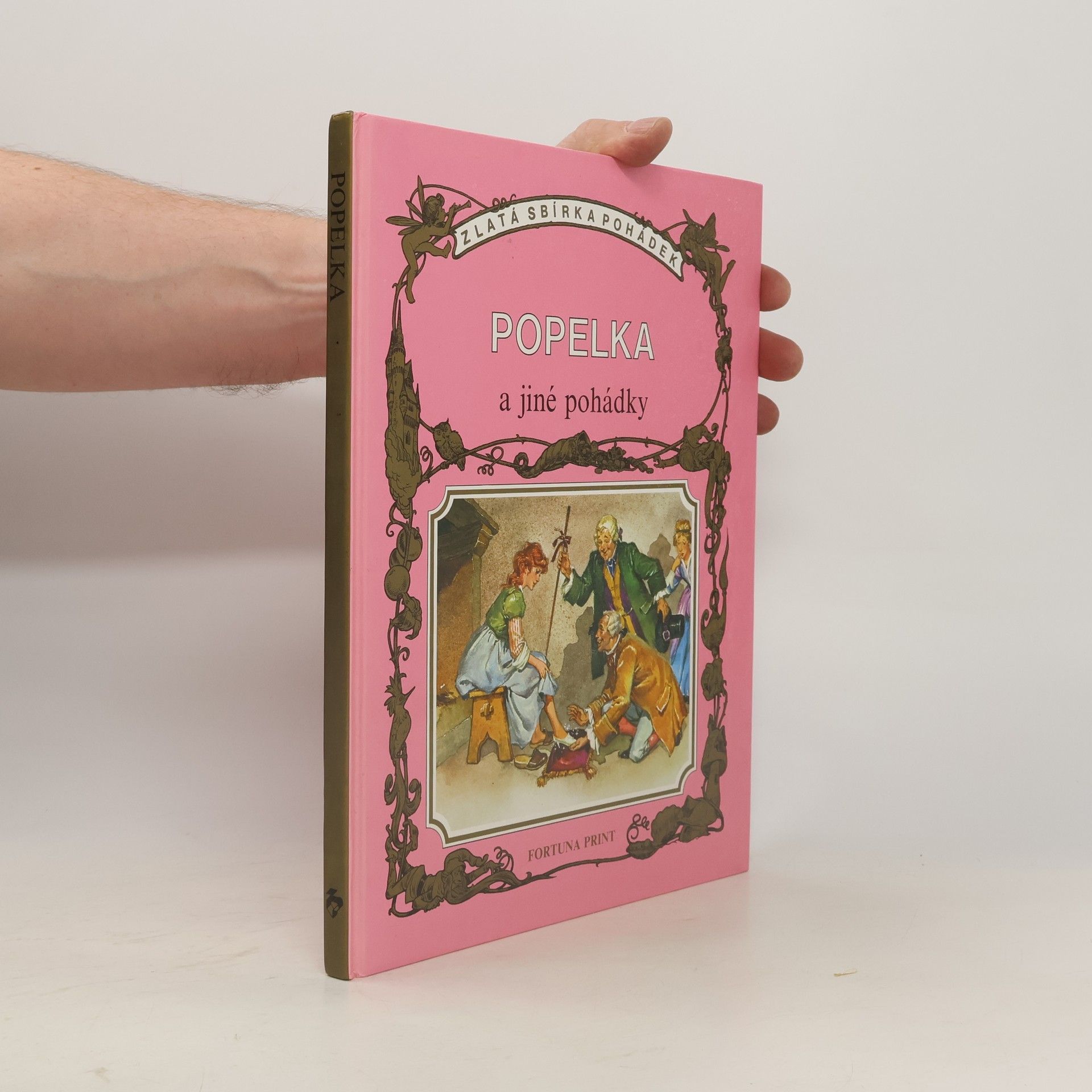 Václav Puchta Popelka a jiné pohádky