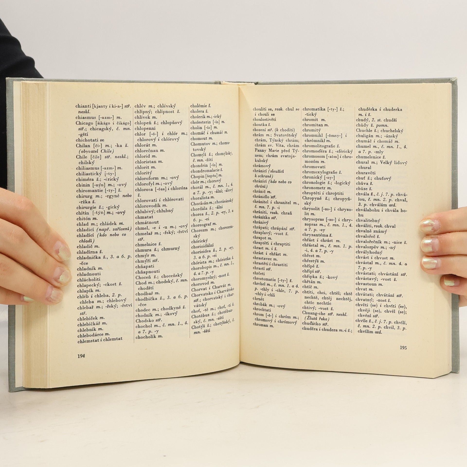 Various authors Pravidla českého pravopisu