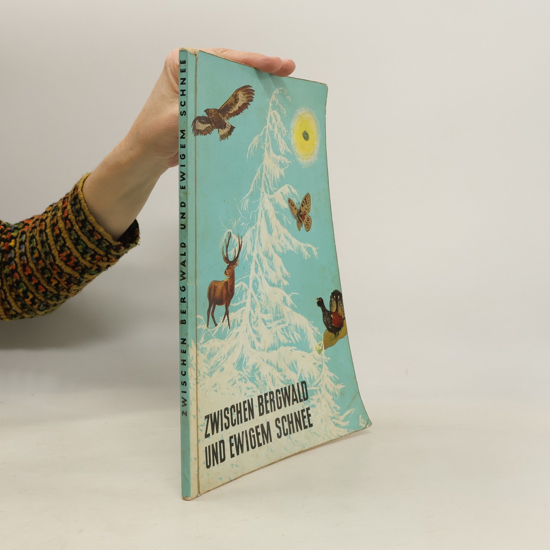 Collectif d'auteurs Zwischen Bergwald und ewigem Schnee