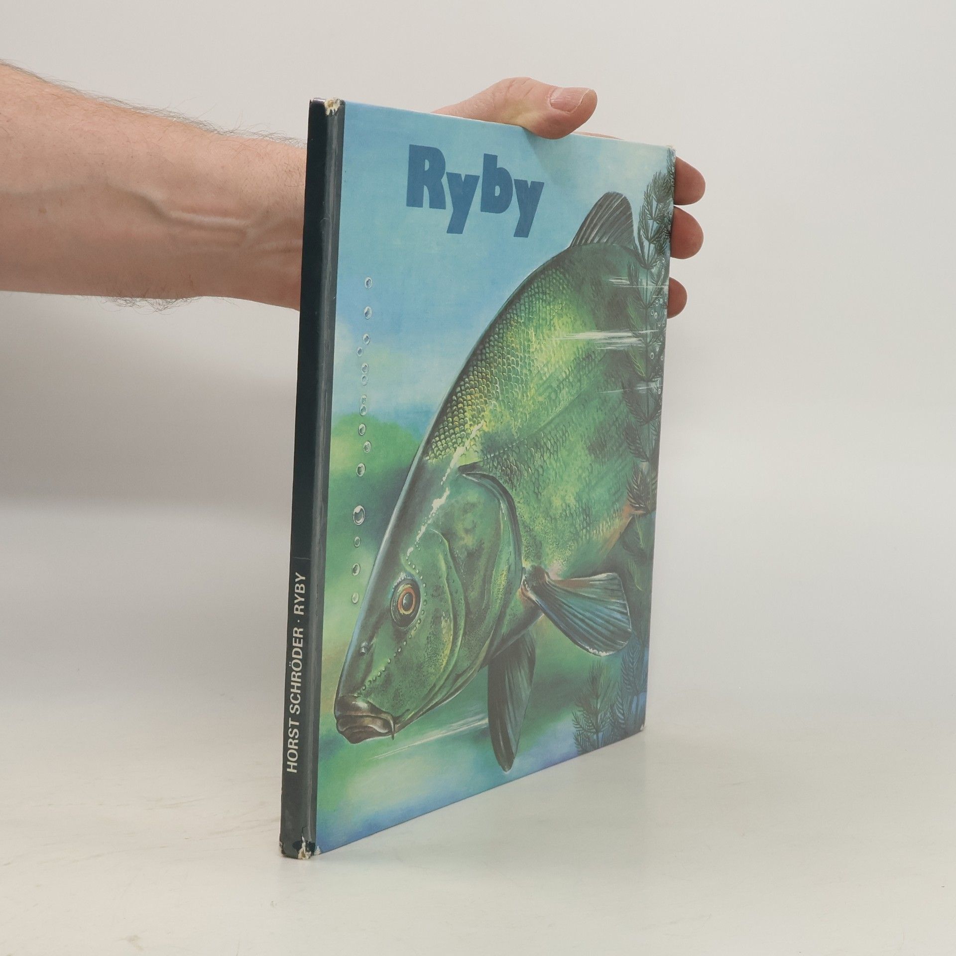 Gisela Flächsig Ryby