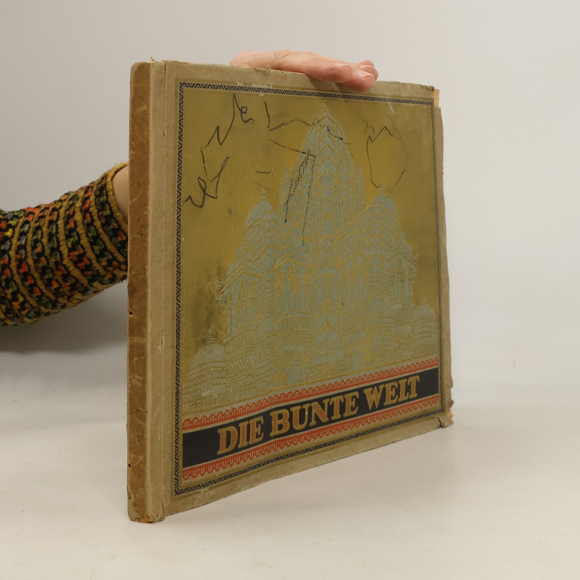 Kolektiv autorů Die bunte Welt