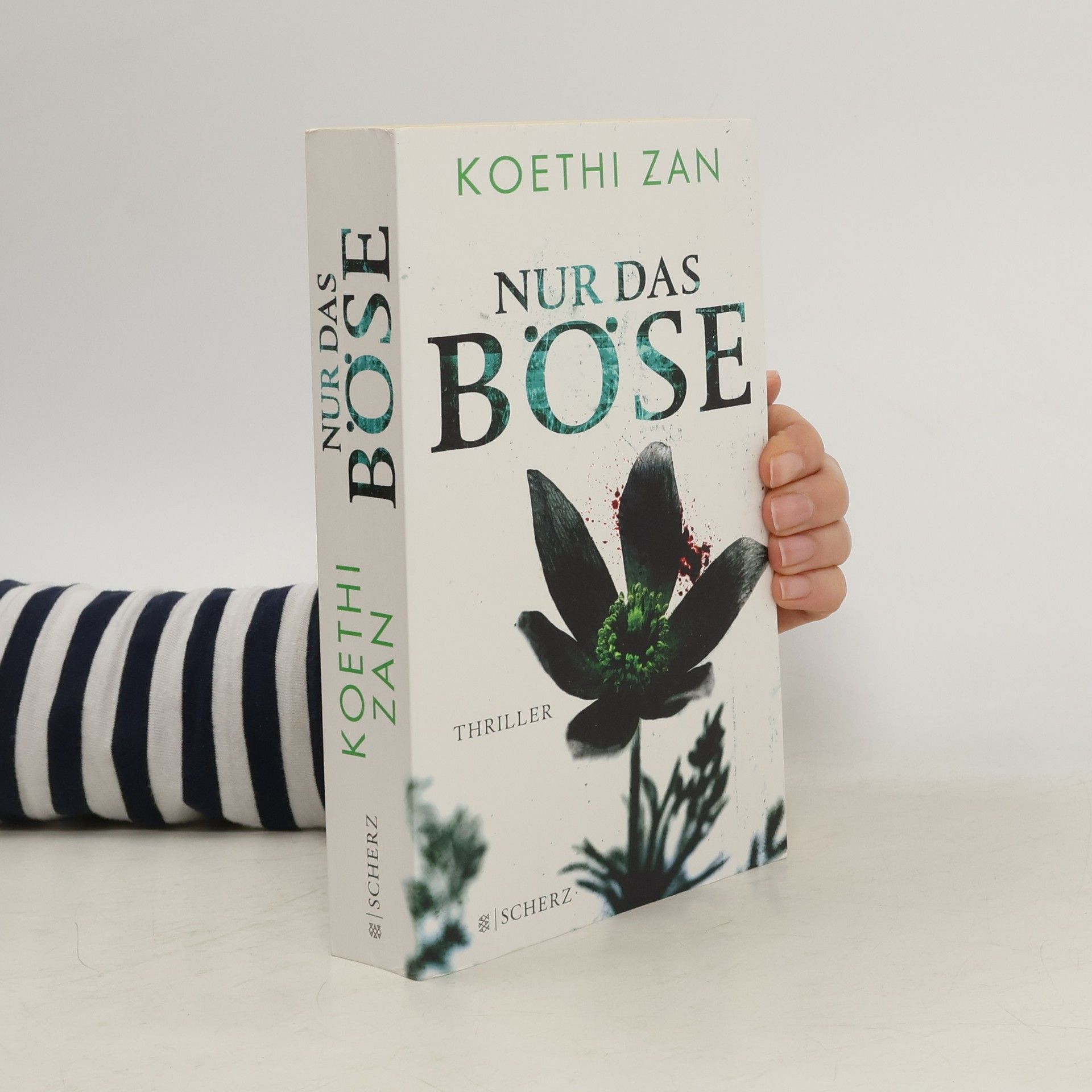 Koethi Zan Nur das Böse