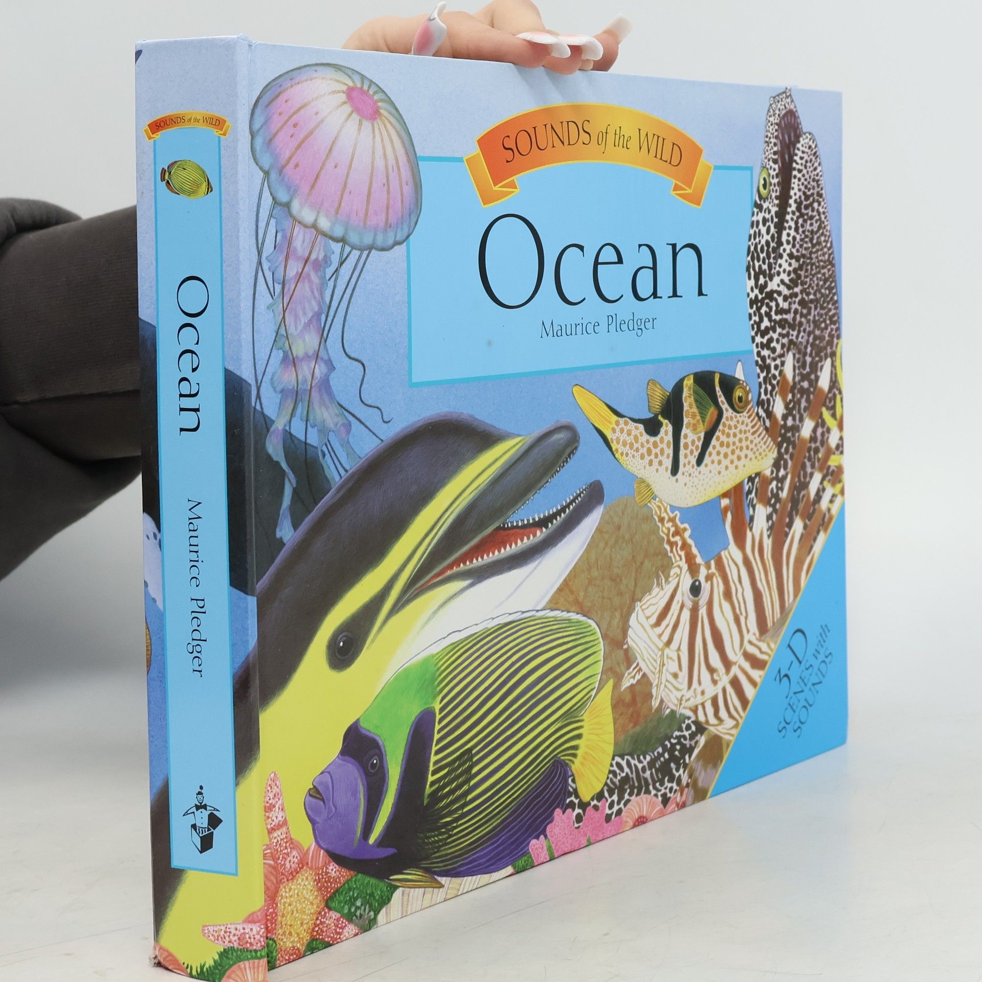 Maurice Pledger Ocean