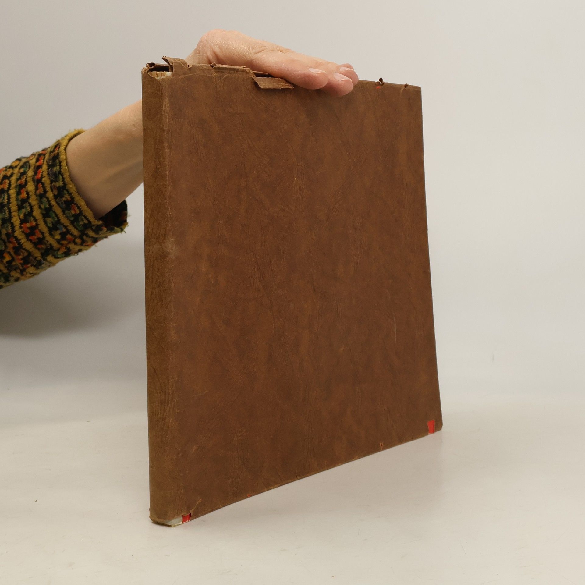 Kolektiv autorů Olympia 1952