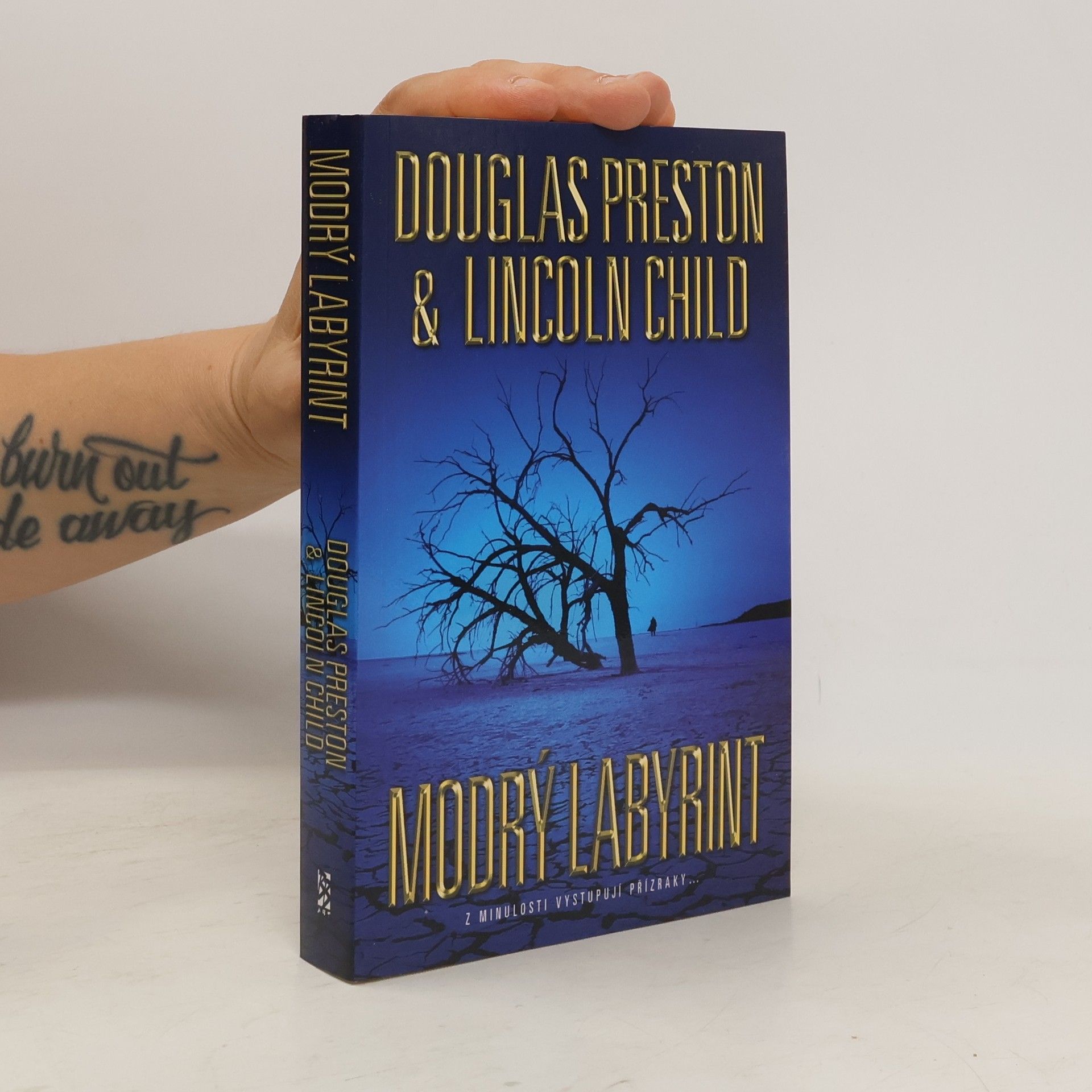 Douglas Preston Modrý labyrint