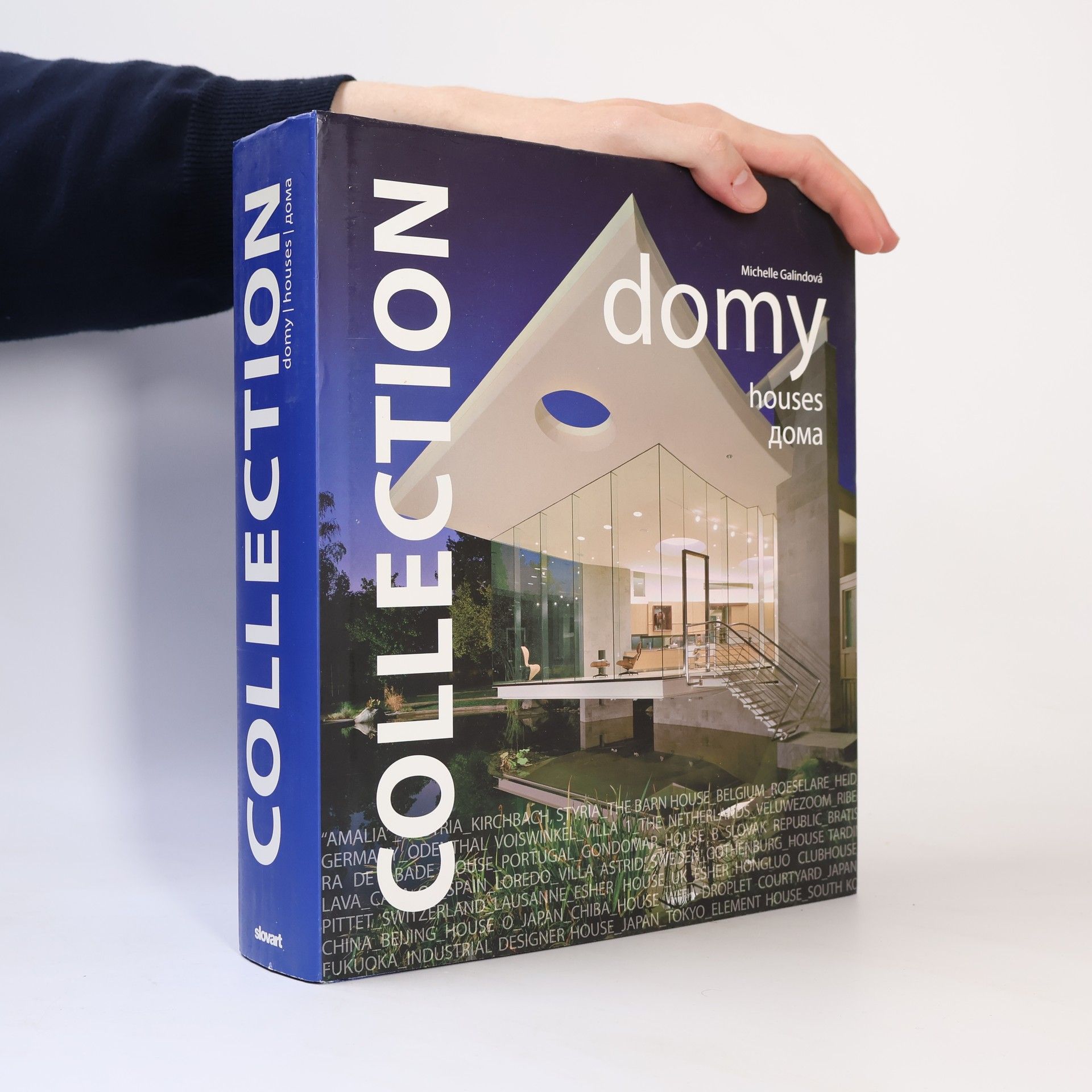 Michelle Galindo Collection. Domy