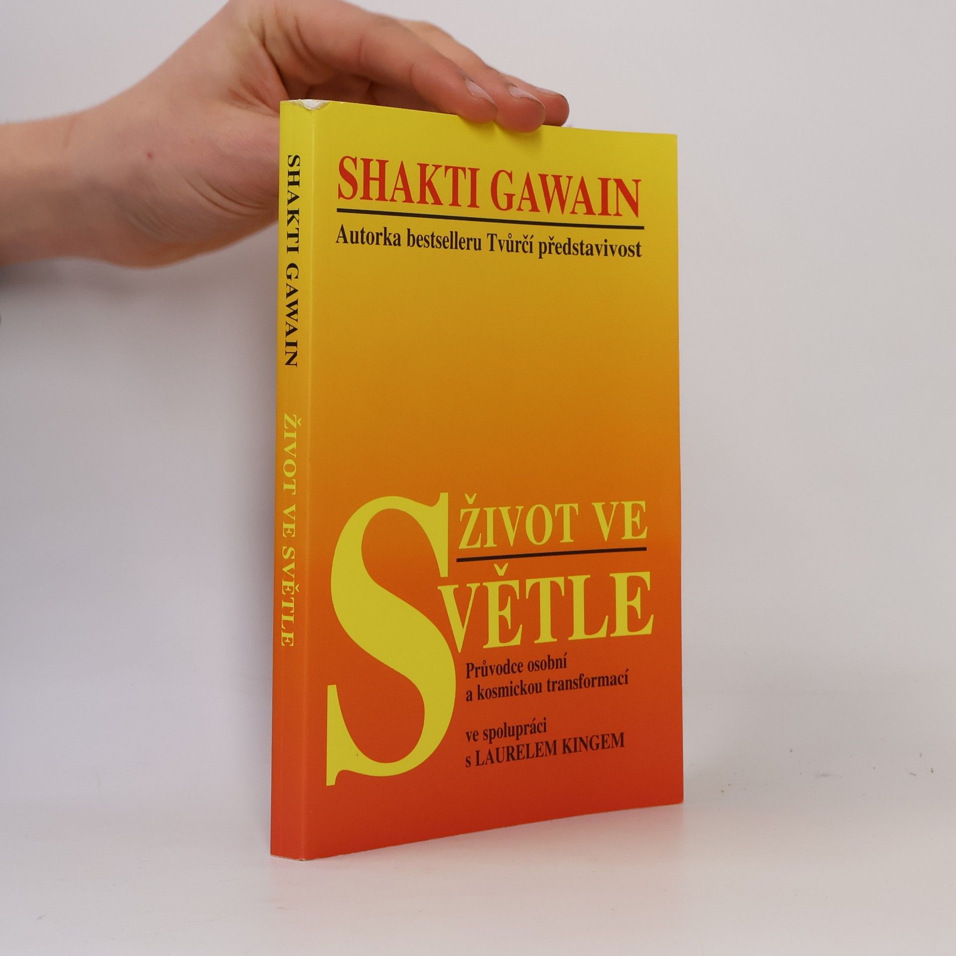 Shakti Gawain Život ve světle