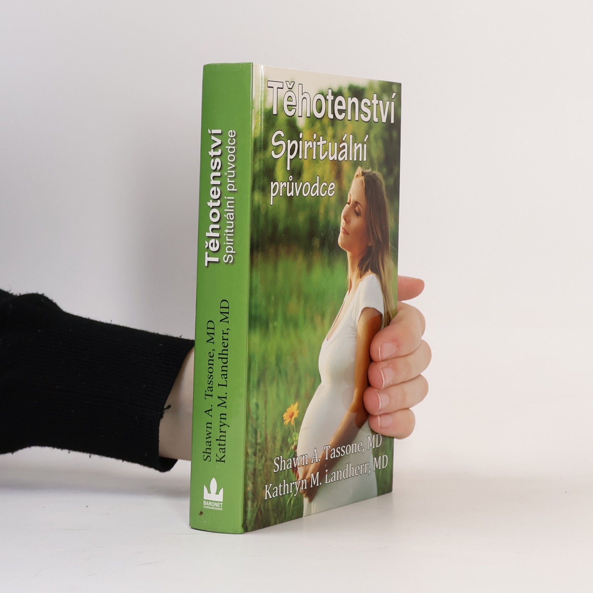 Shawn A. Tassone Těhotenství. Spirituální průvodce