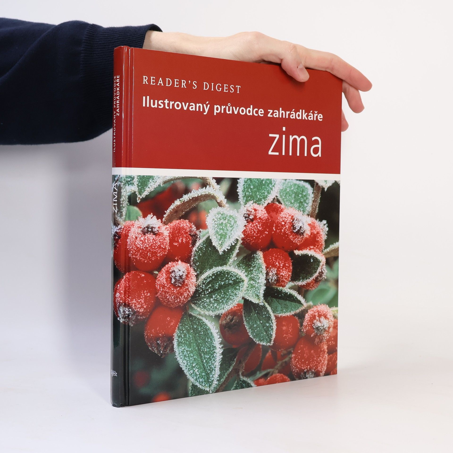 Steve Bradley Zima: Ilustrovaný průvodce zahrádkáře