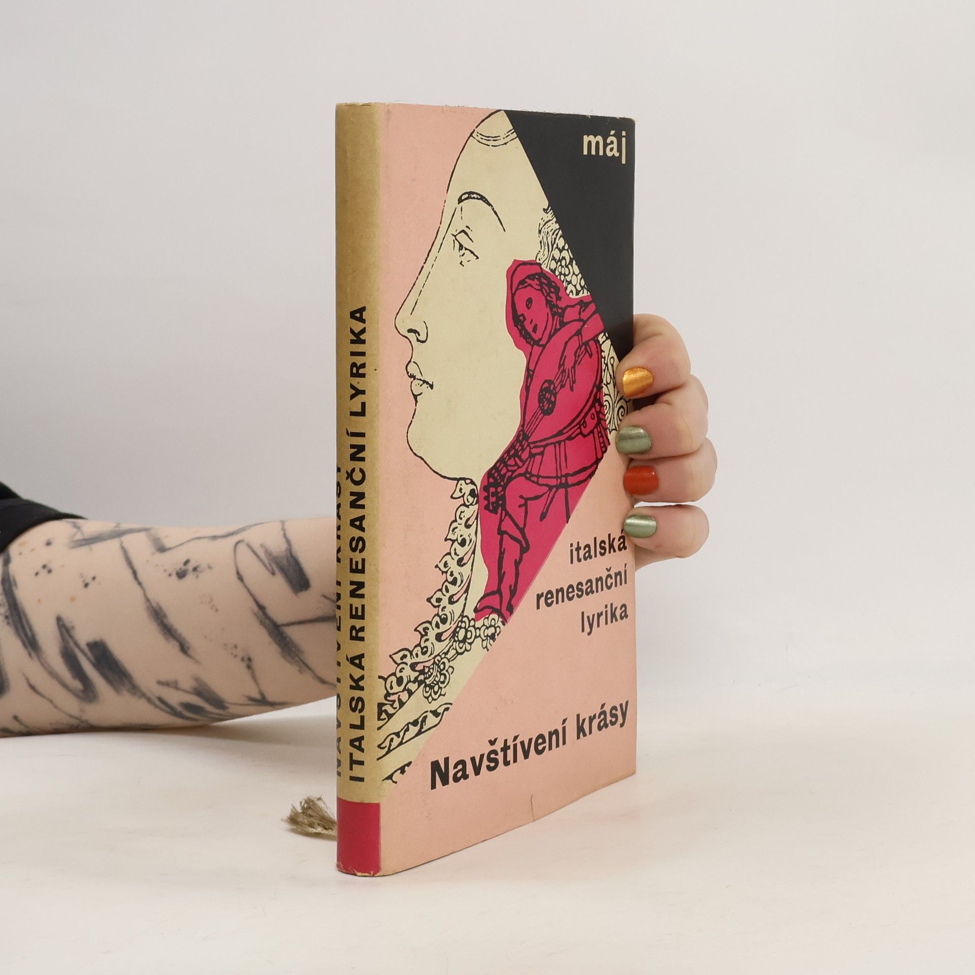 Navštívení krásy. Italská renesanční lyrika