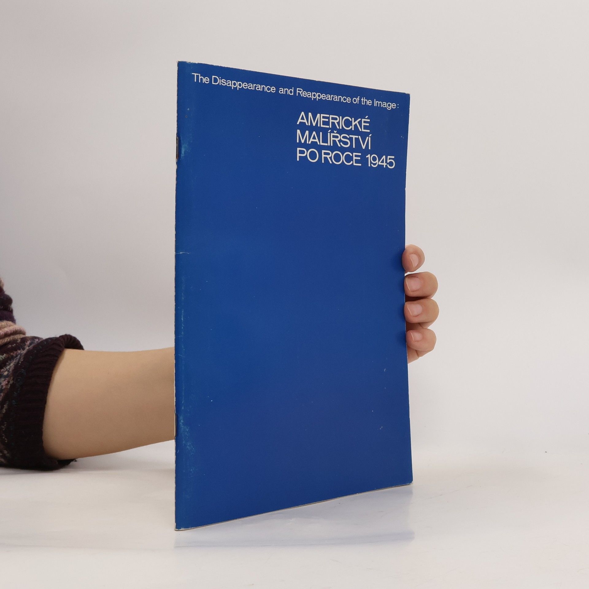 Autorenkollektiv Americké malířství po roce 1945