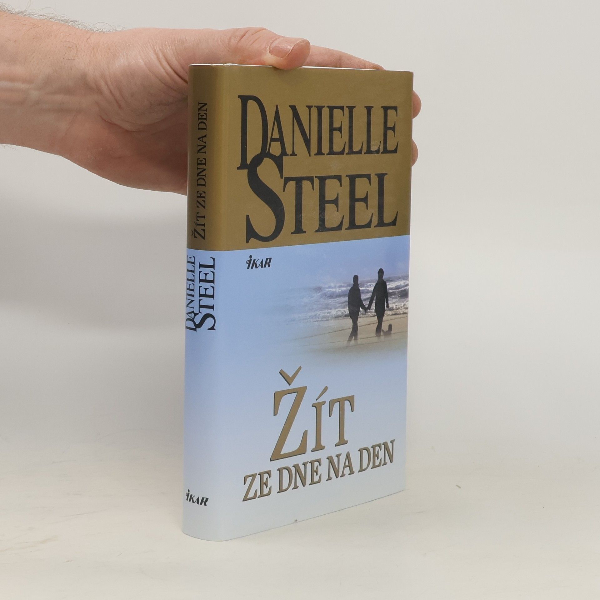Danielle Steel Žít ze dne na den
