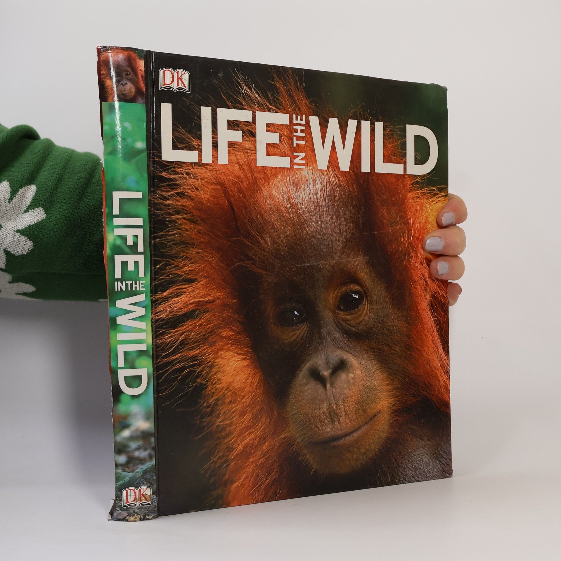 Thomas Marent Life in the Wild