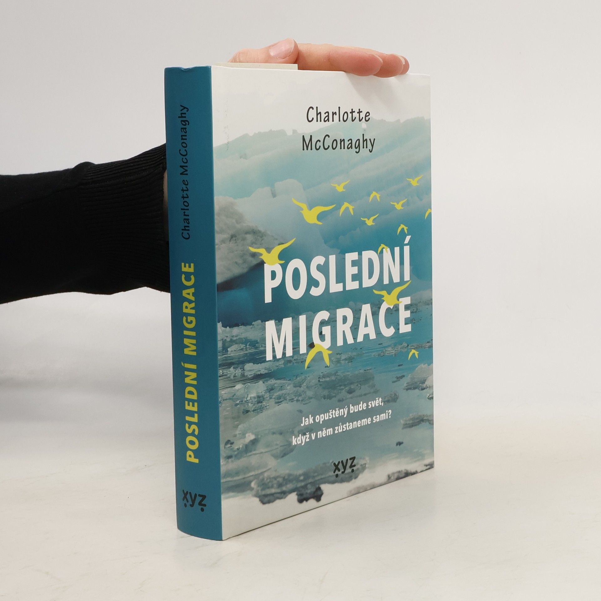 CHARLOTTE. MCCONAGHY Poslední migrace