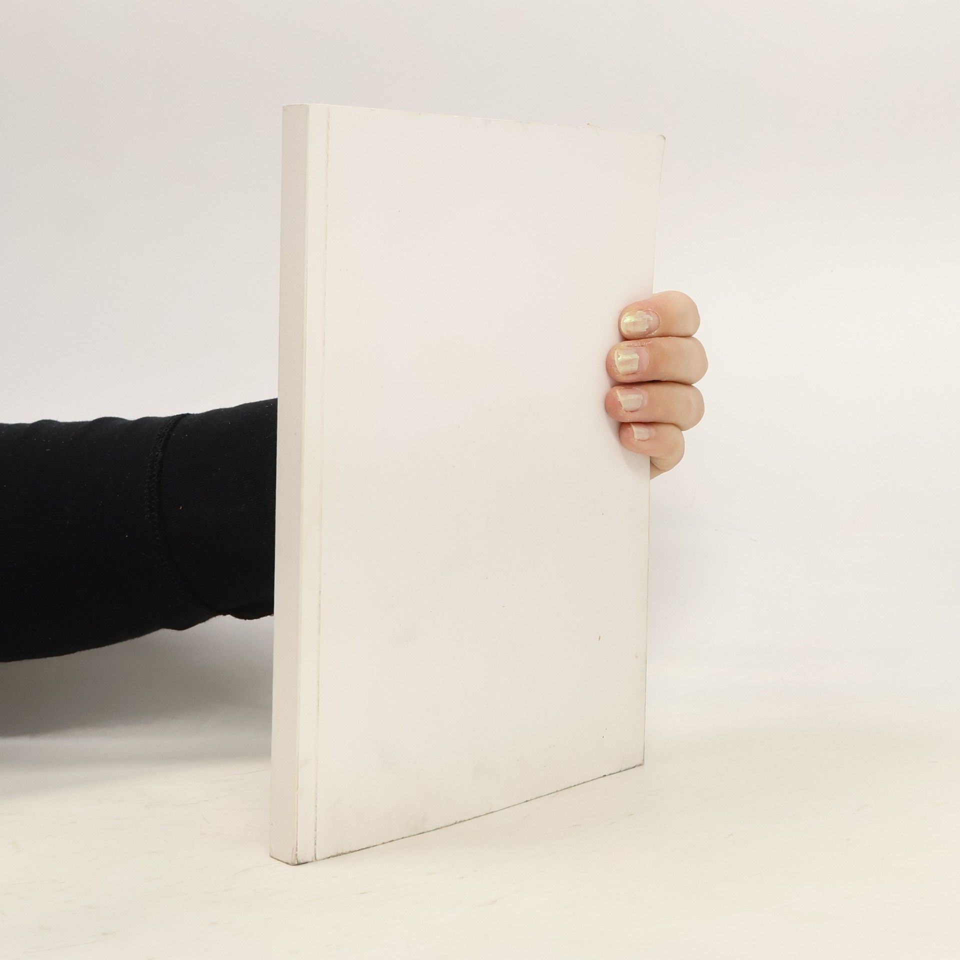 Kněžna Káča a Lamberkové v Čechách