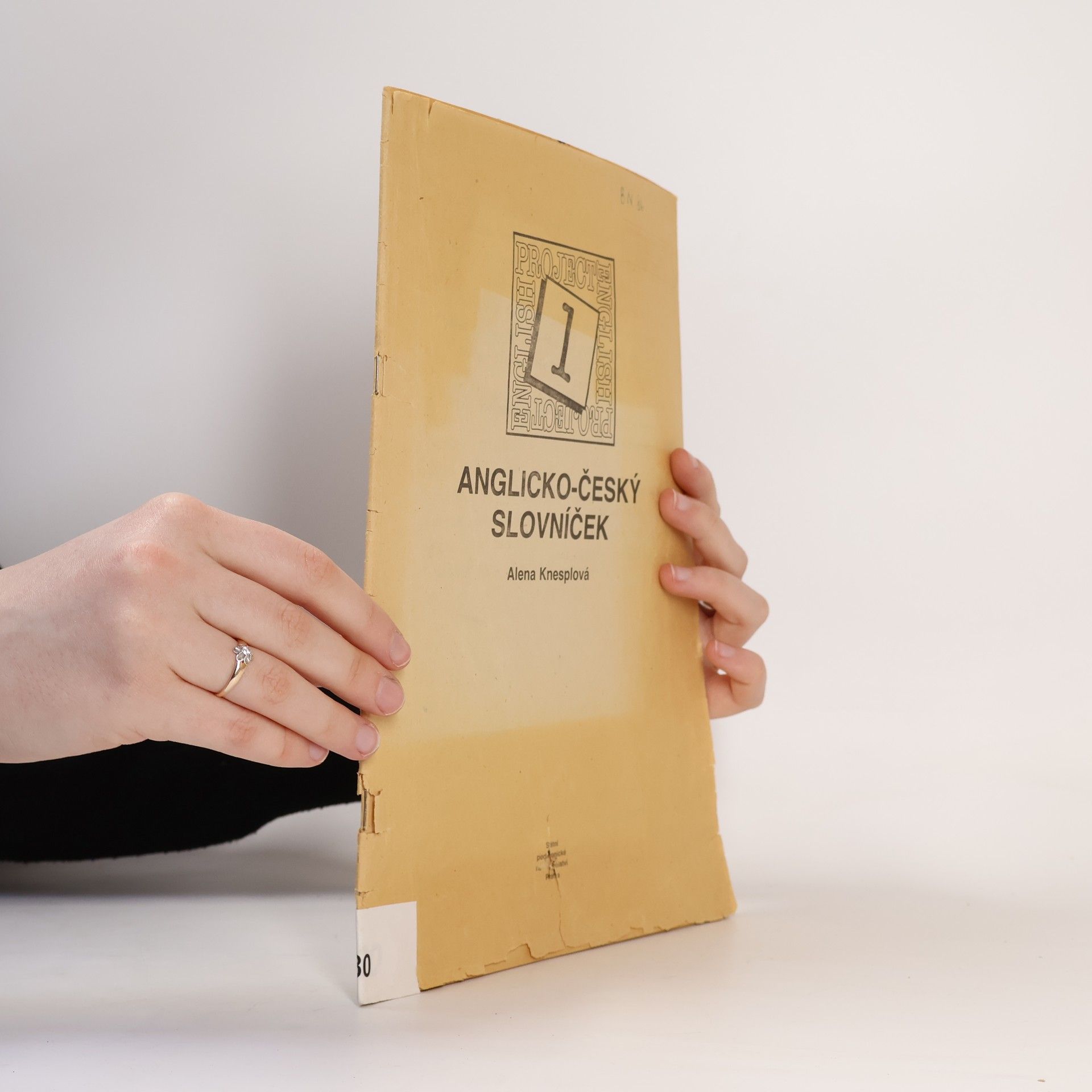 Anglicko-český slovníček : Project English 1
