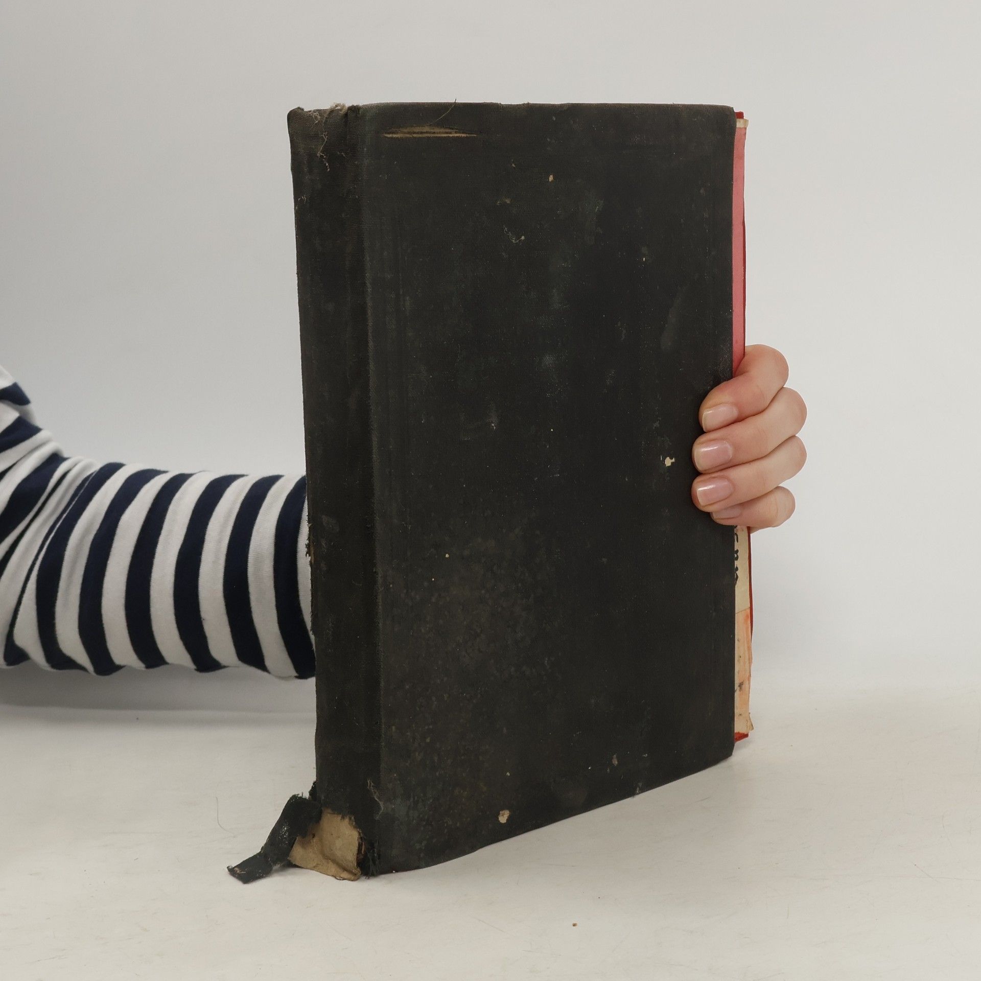 F. E. Bilz Das Neue Naturheilverfahren. Lehr- und Nachschlagebuch der naturgemässen Heilweise und Gesundheitspflege