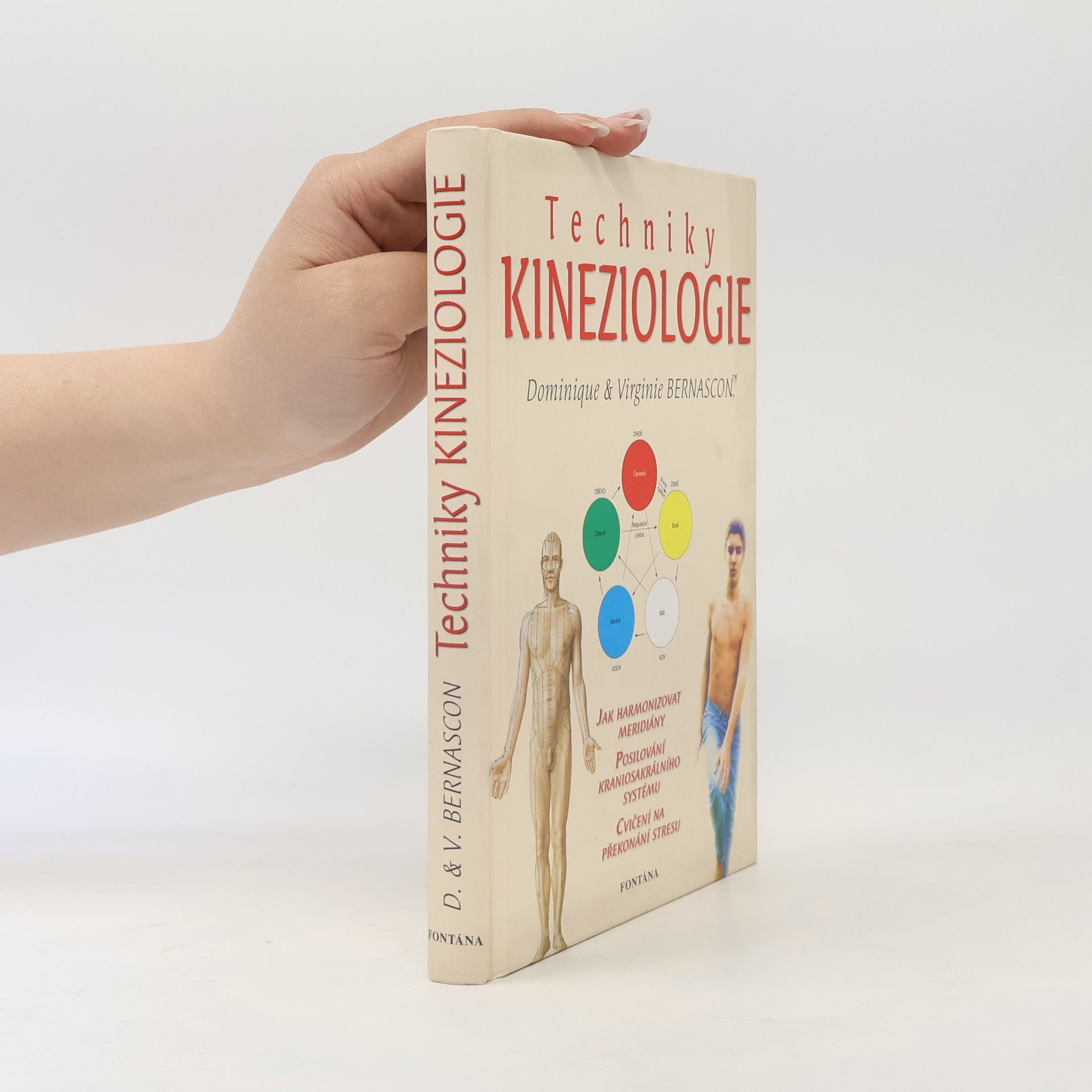 Dominique Bernascon Techniky kineziologie