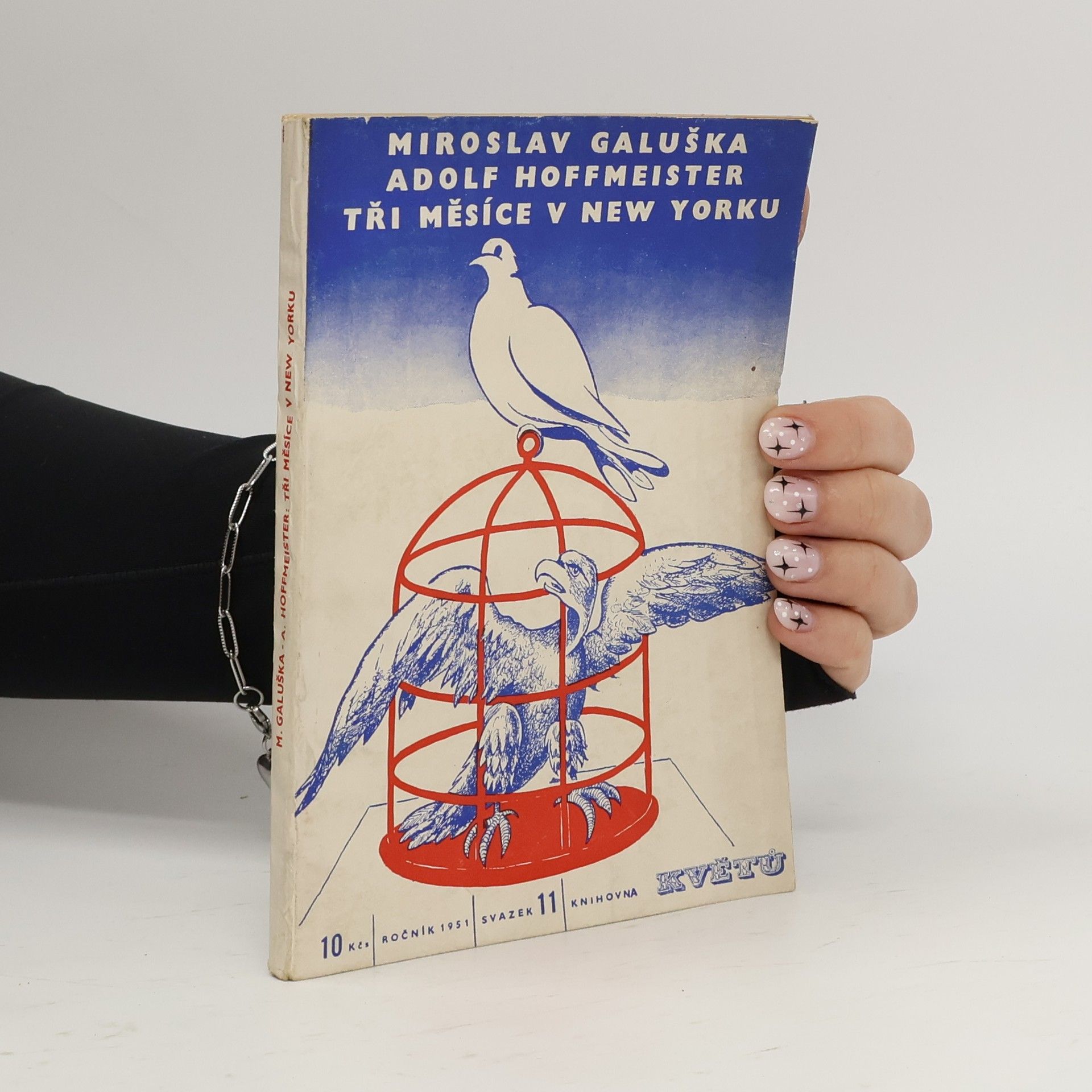 Miroslav Galuška Tři měsíce v New Yorku