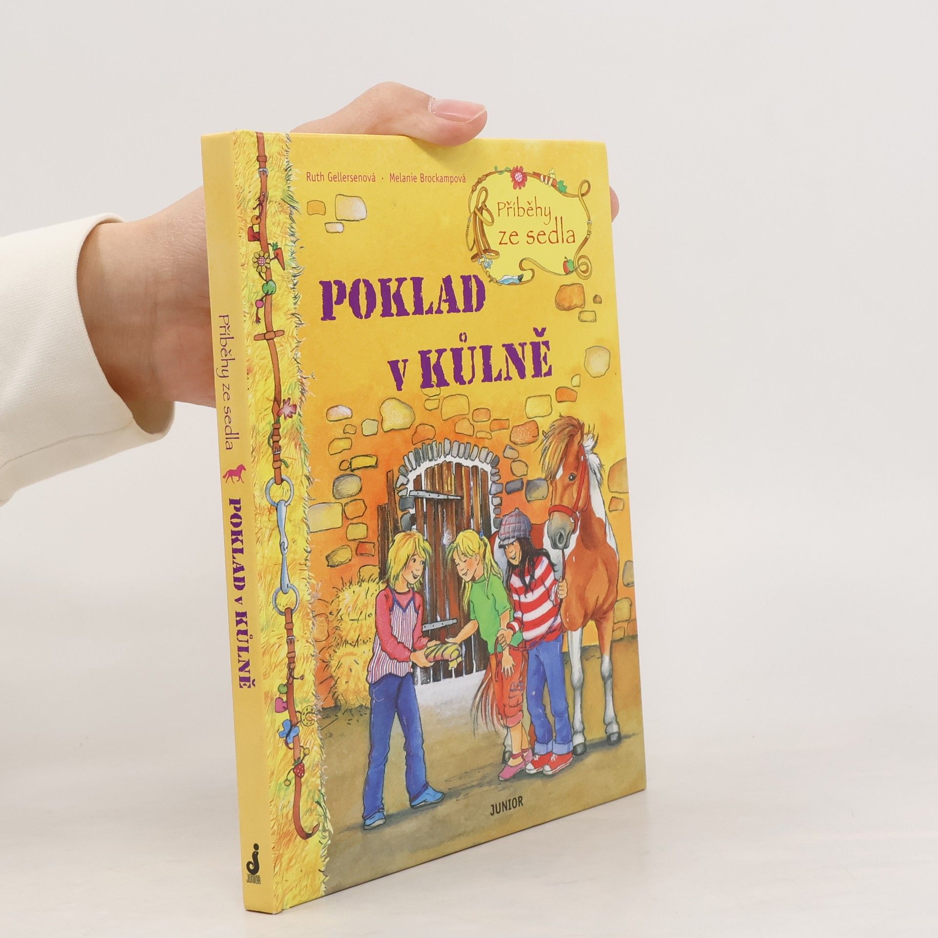Ruth Gellersen Příběhy ze sedla. Poklad v kůlně