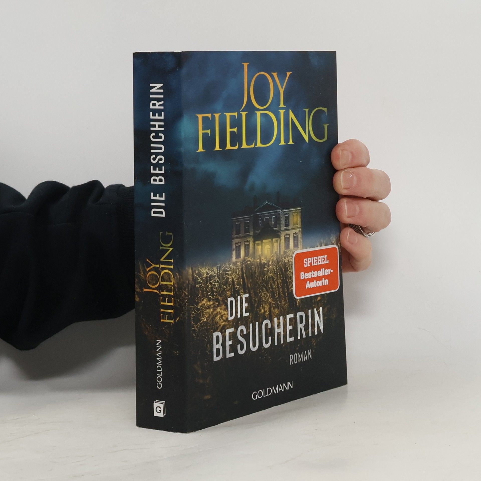 Joy Fielding Die Besucherin