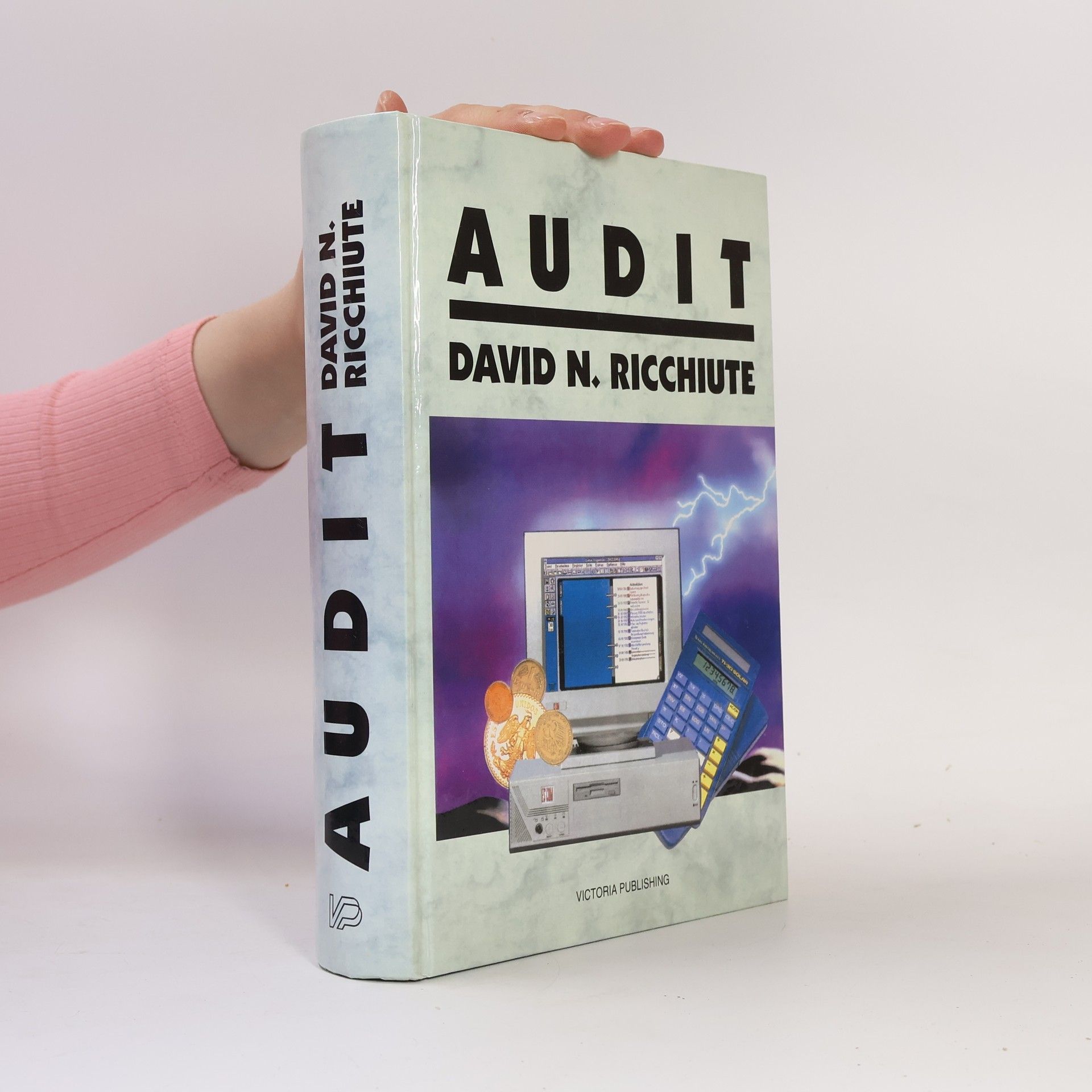David N. Ricchiute Audit