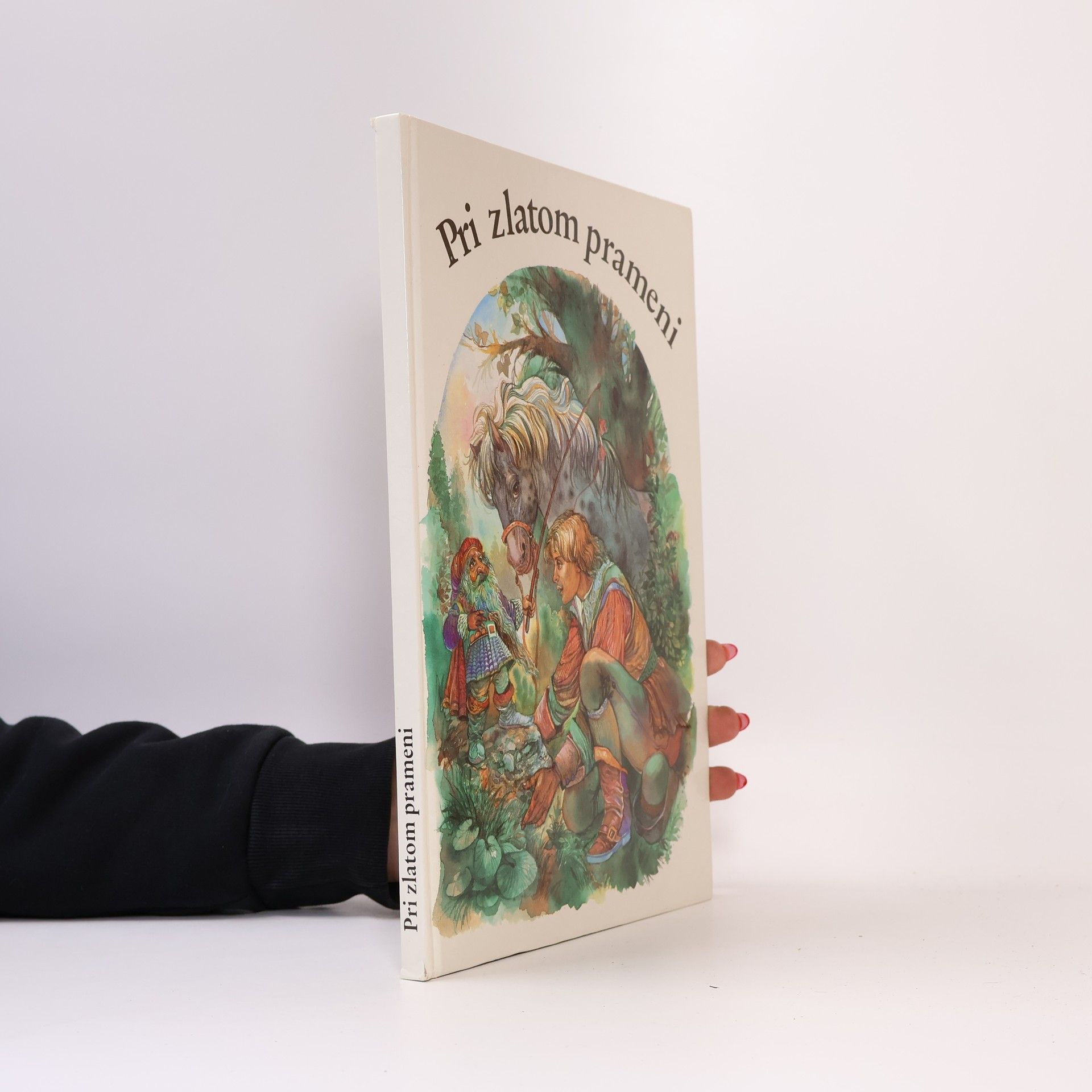 Autorenkollektiv Pri zlatom prameni