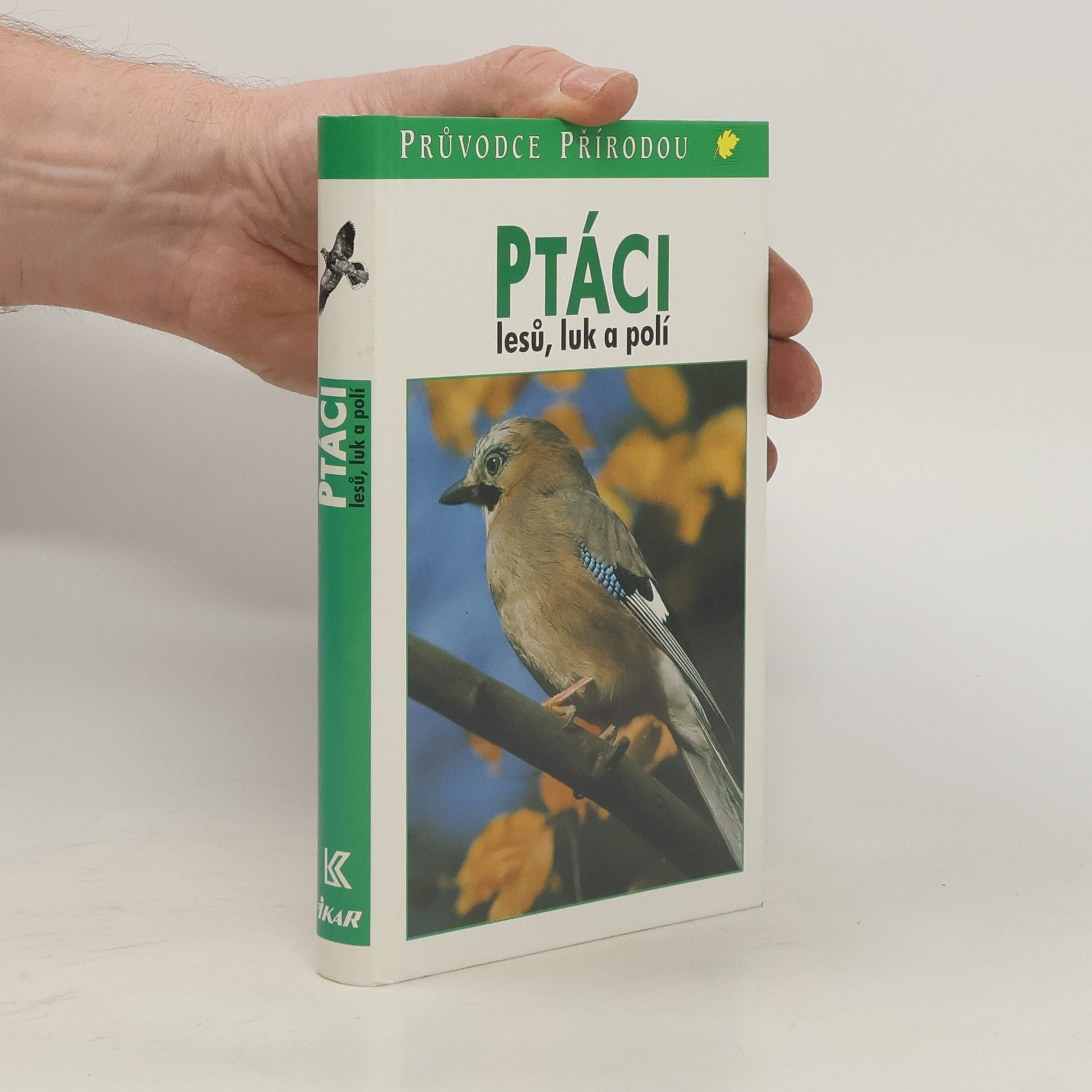 Frieder Sauer Ptáci lesů, luk a polí