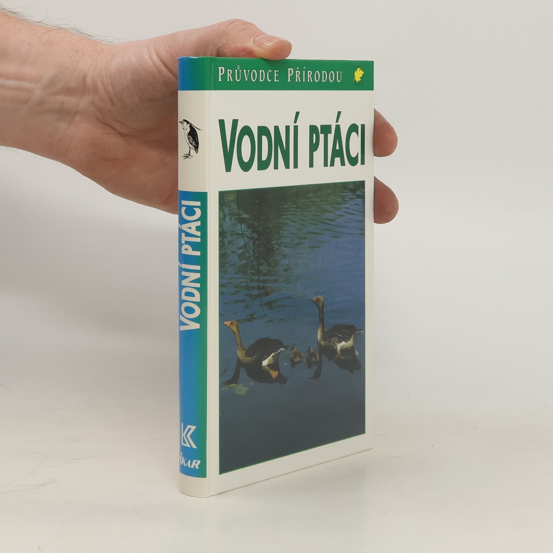 Friedhelm Sauer Vodní ptáci