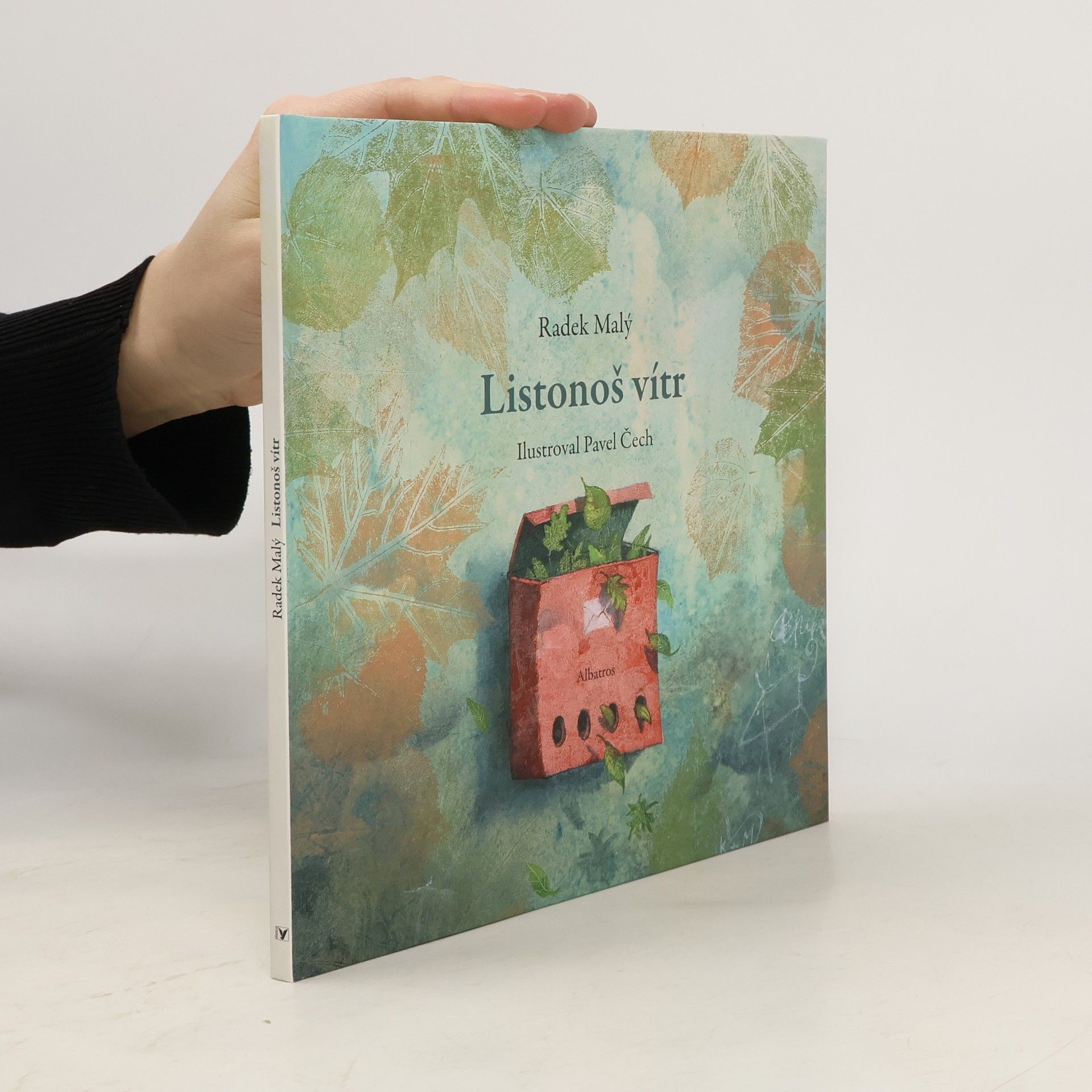 Radek Malý Listonoš vítr