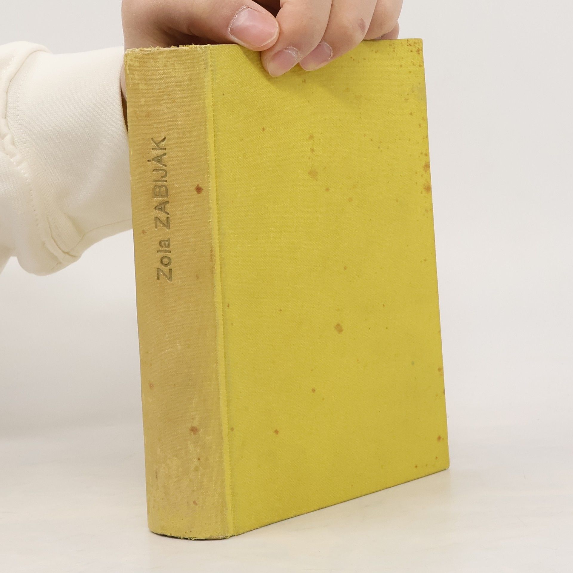 Émile Zola Zabiják