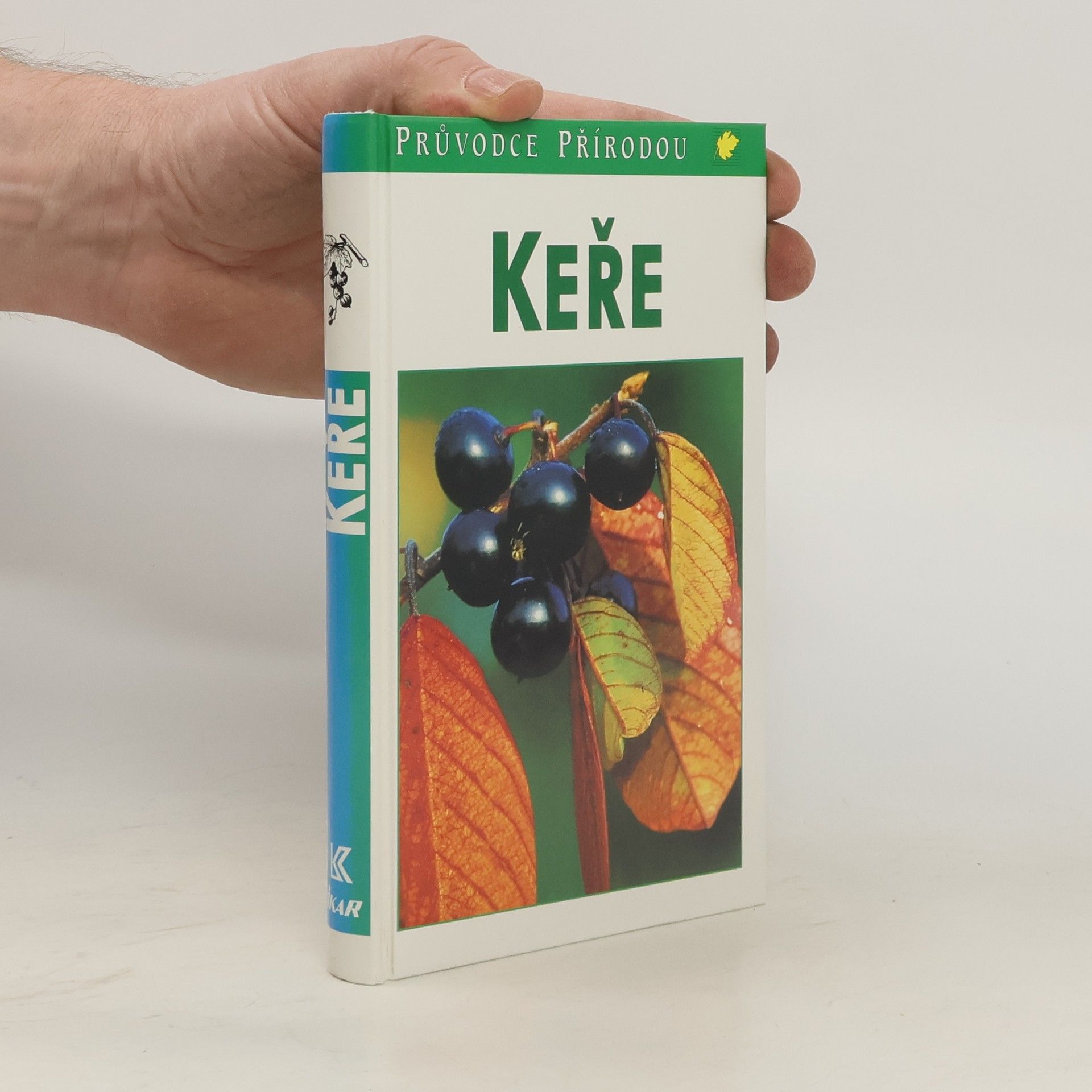 Markus Bolliger Keře