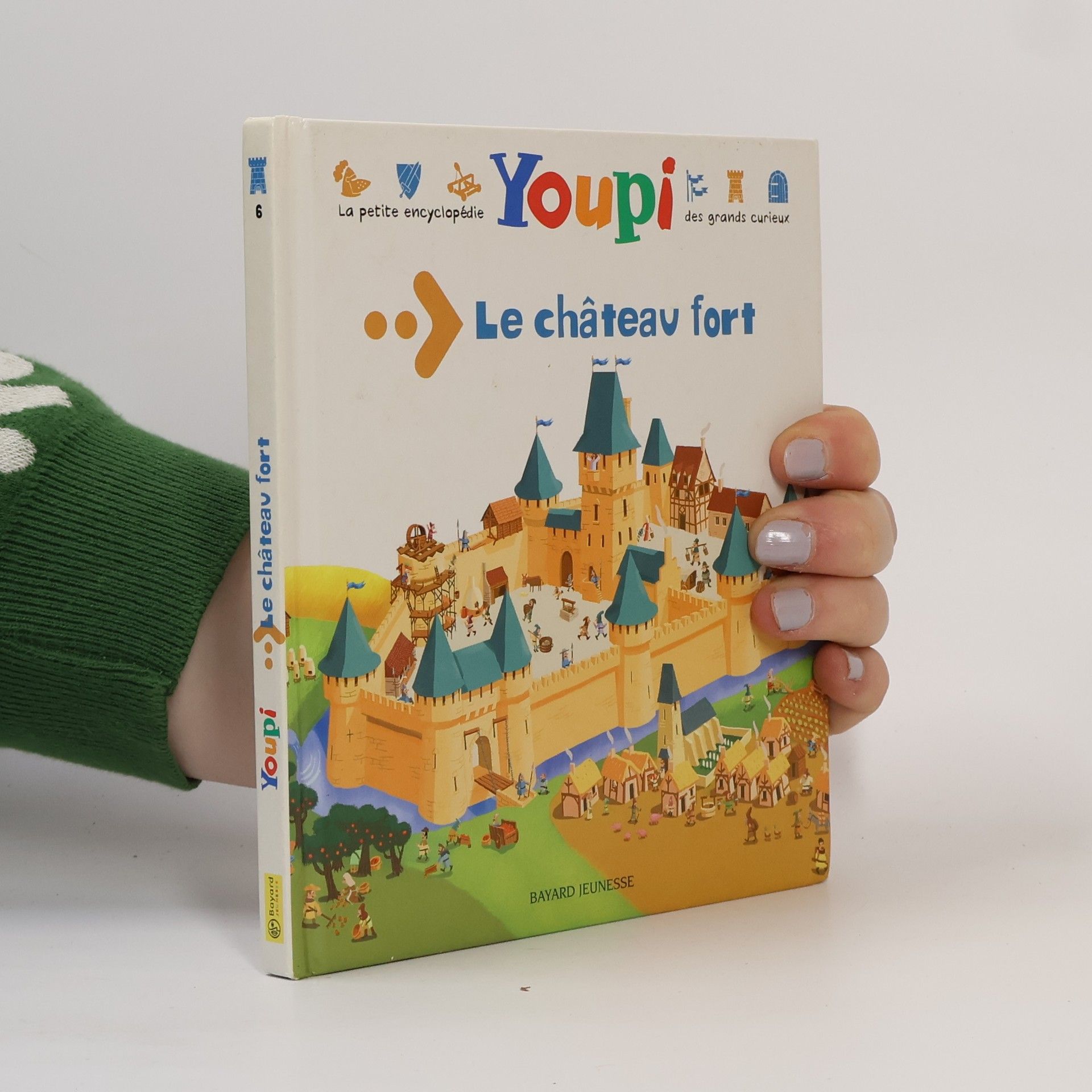 Bertrand Fichou Le château fort