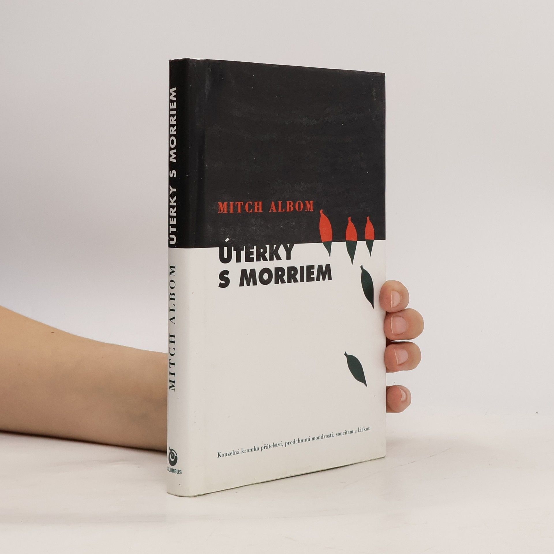 Mitch Albom Úterky s Morriem