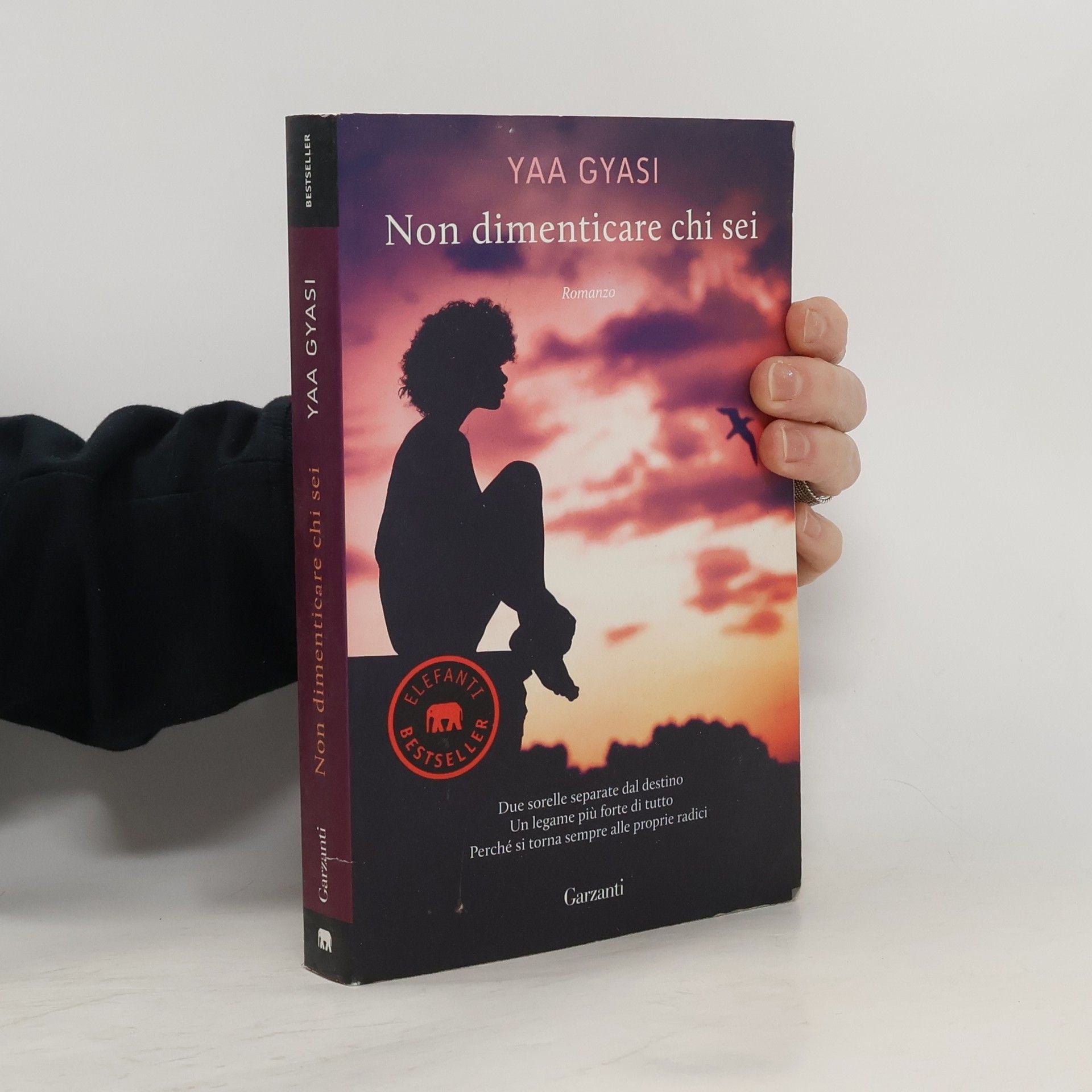 Elefanti bestseller: Non dimenticare chi sei
