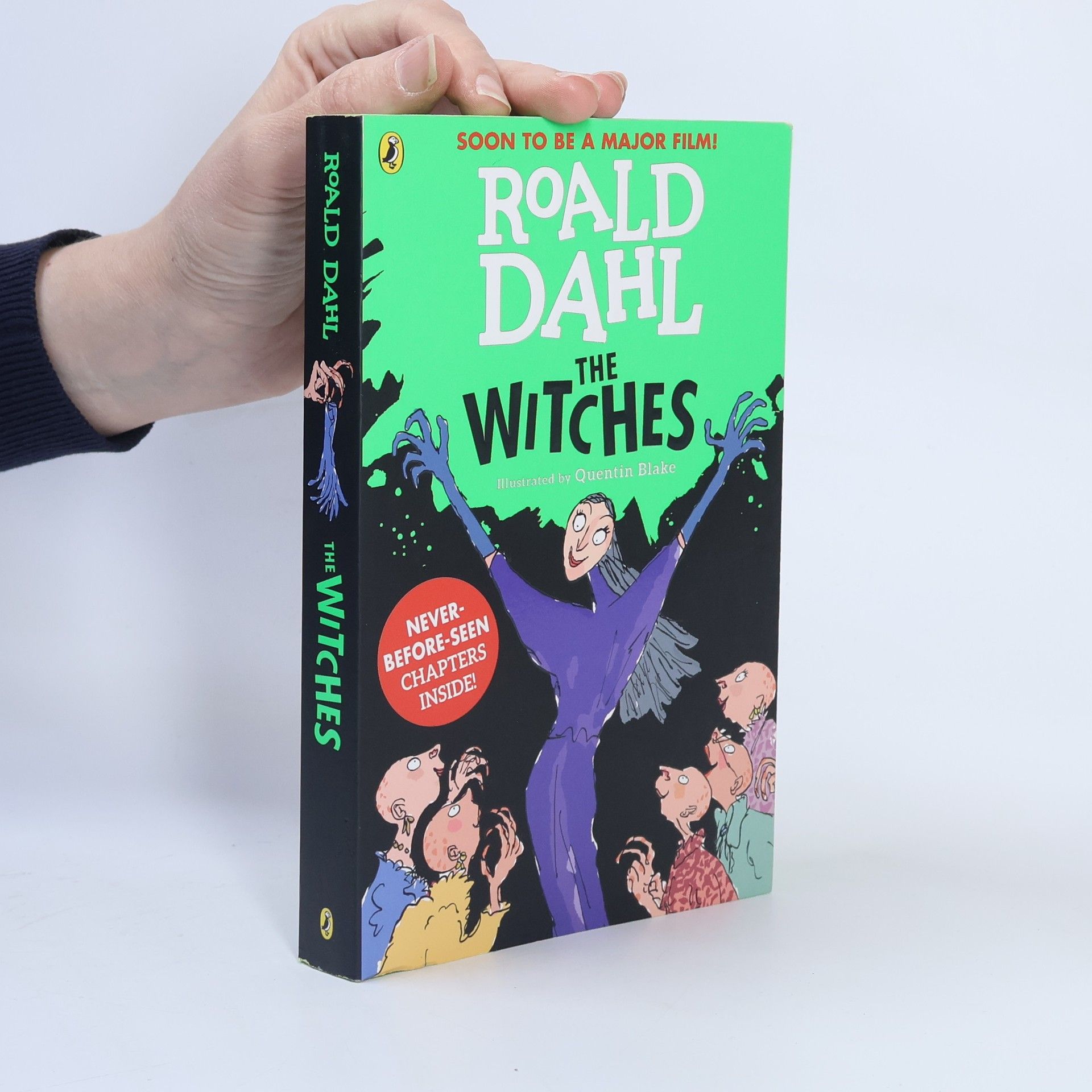 Roald Dahl The Witches