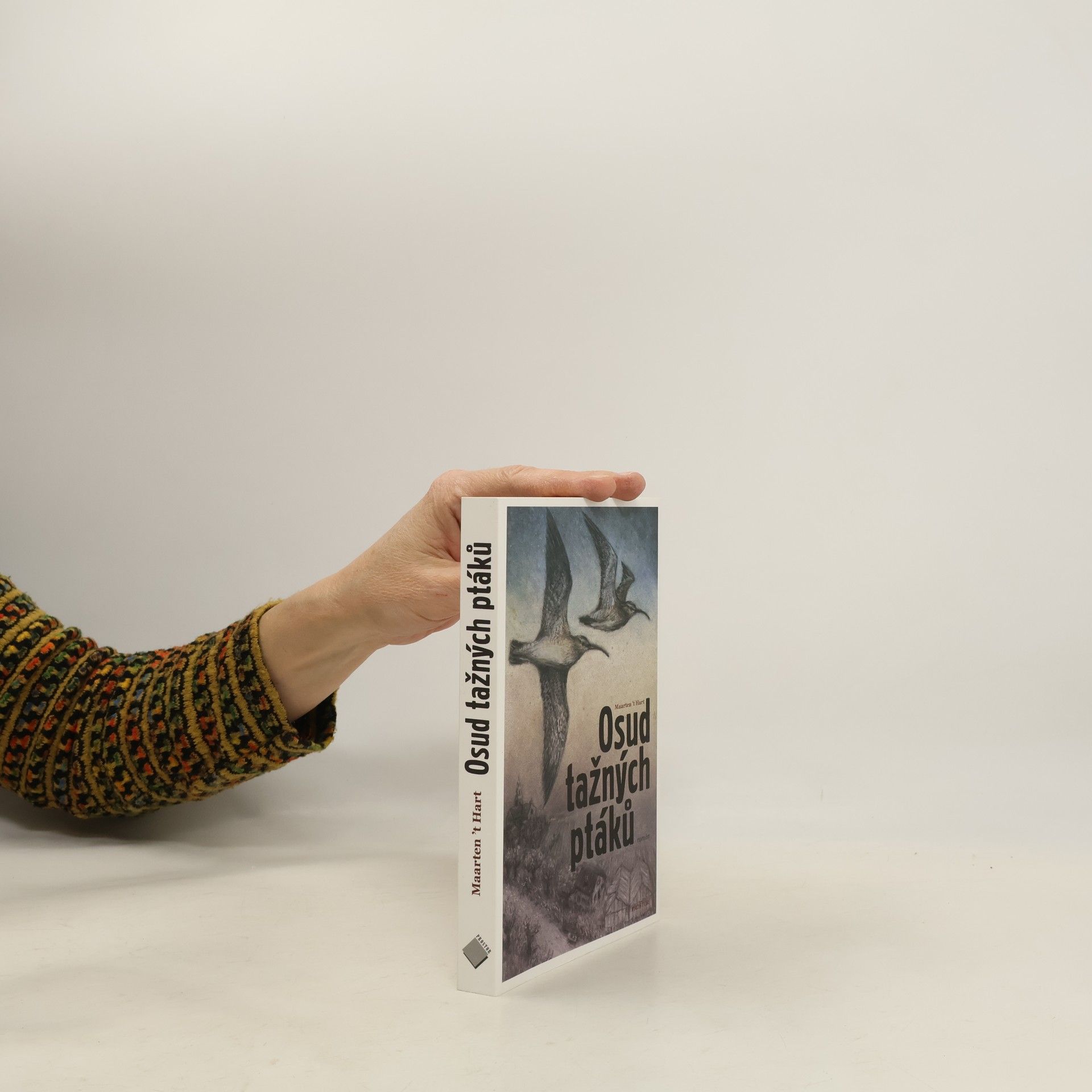 Maarten 't Hart Osud tažných ptáků
