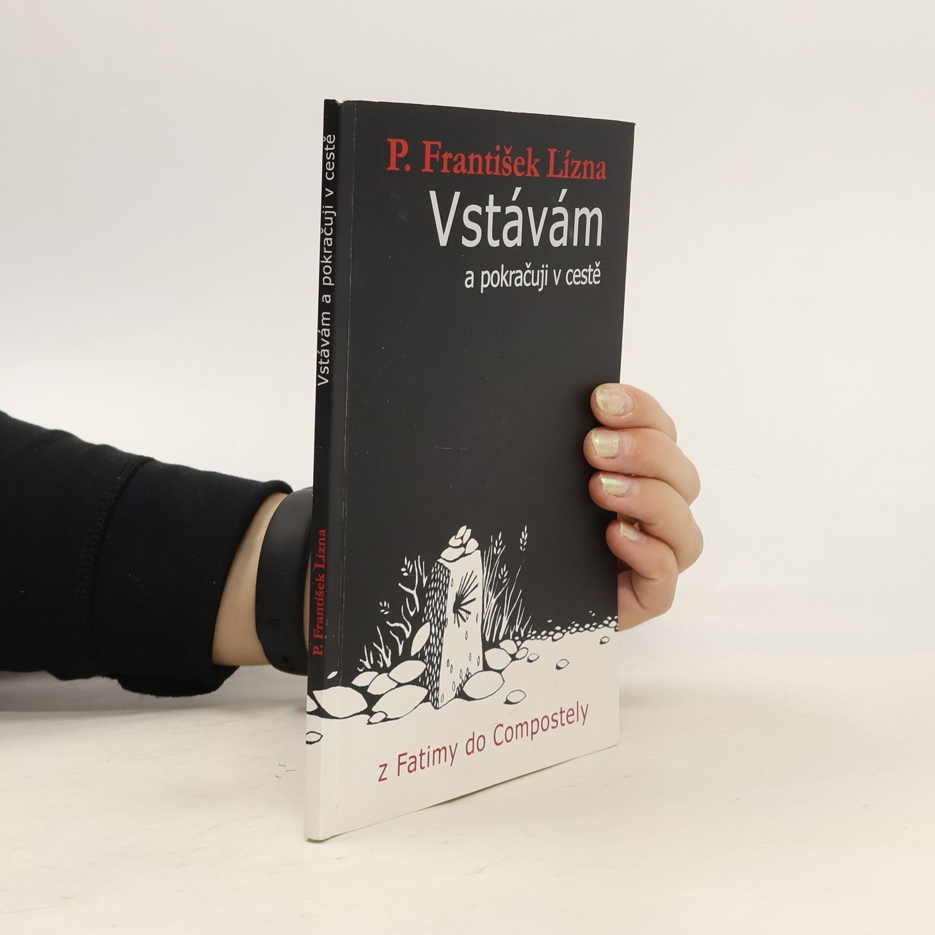 František Lízna Vstávám a pokračuji v cestě