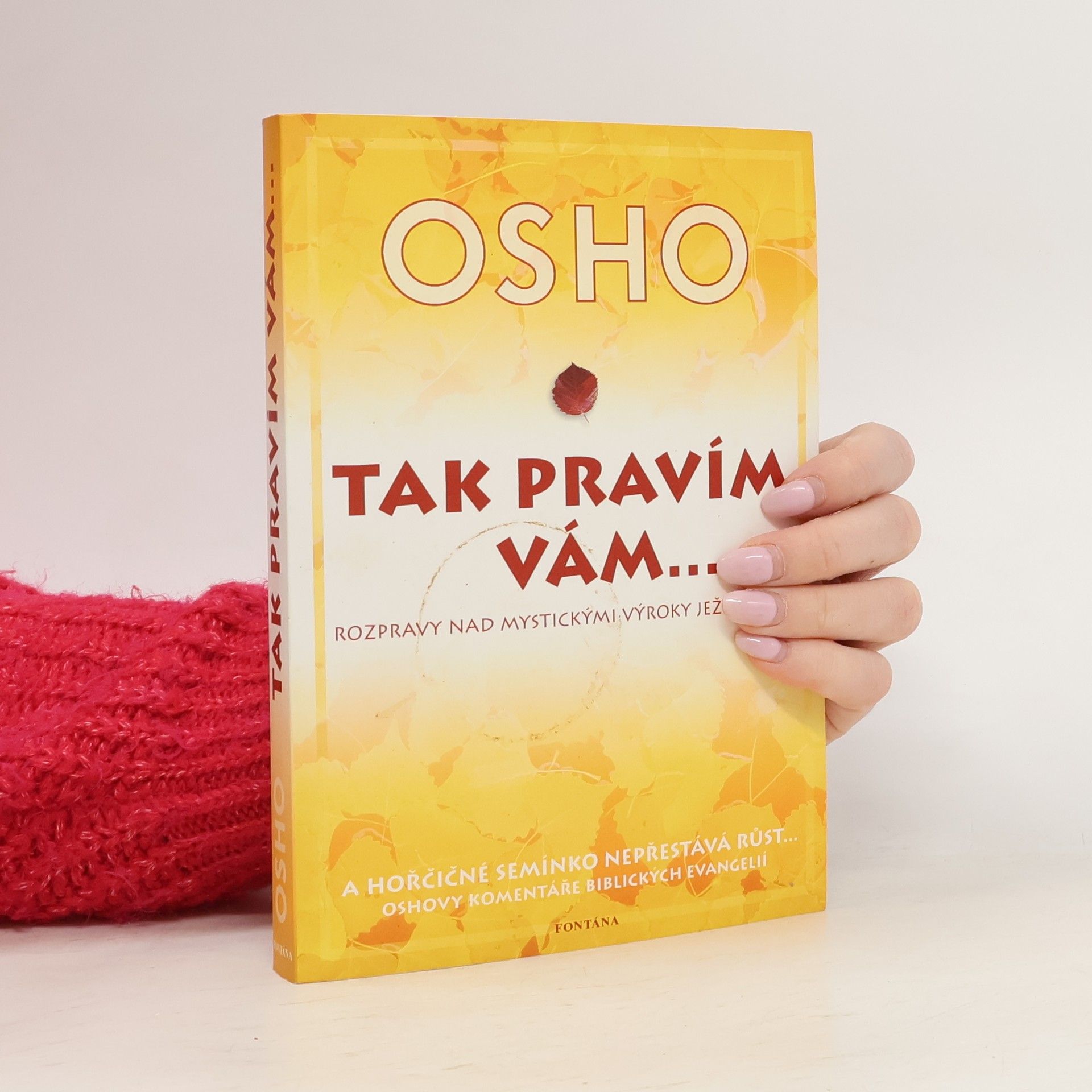 Ošó Tak pravím vám... Rozmluvy o mystických výrocích Ježíšových