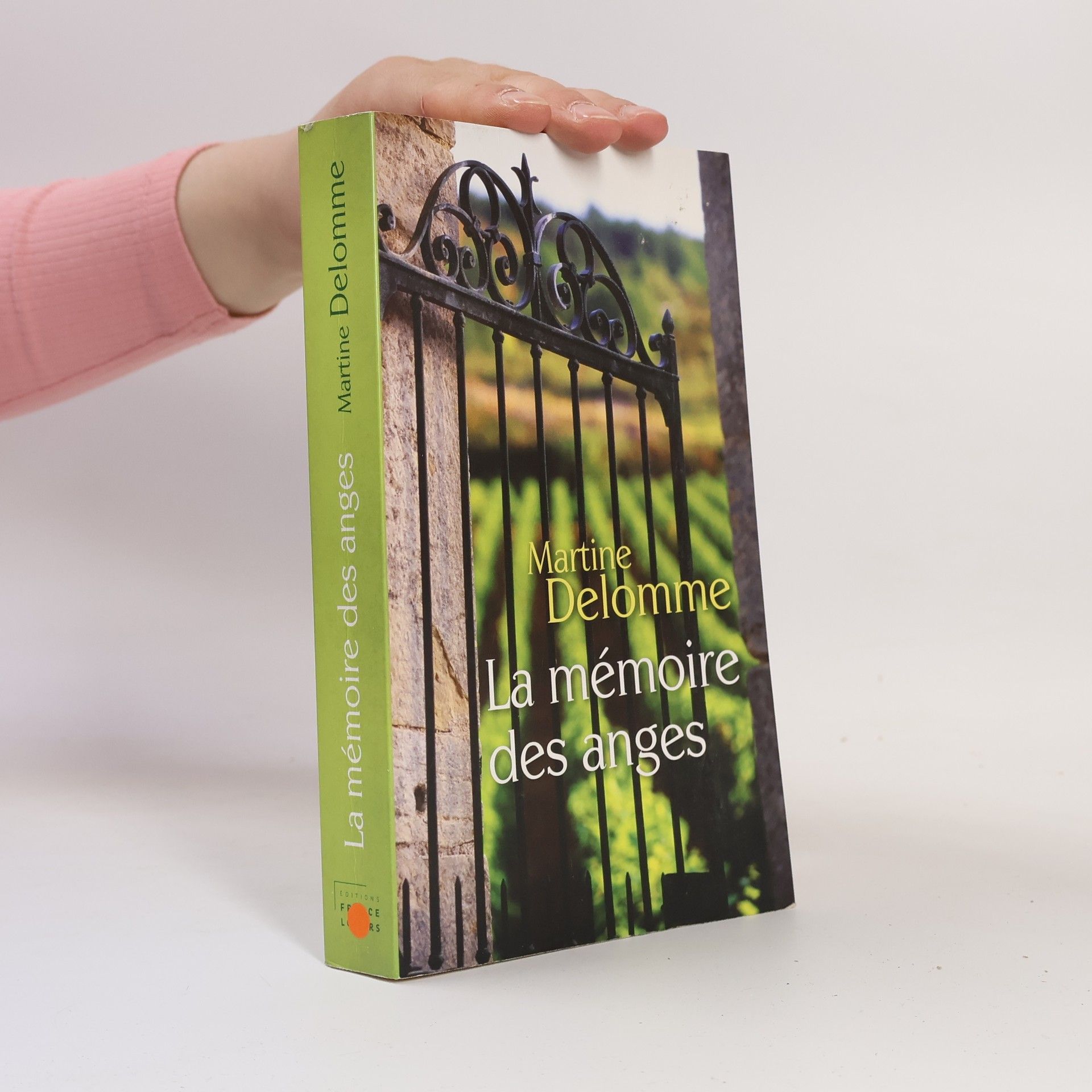 Martine Delomme La Mémoire des anges