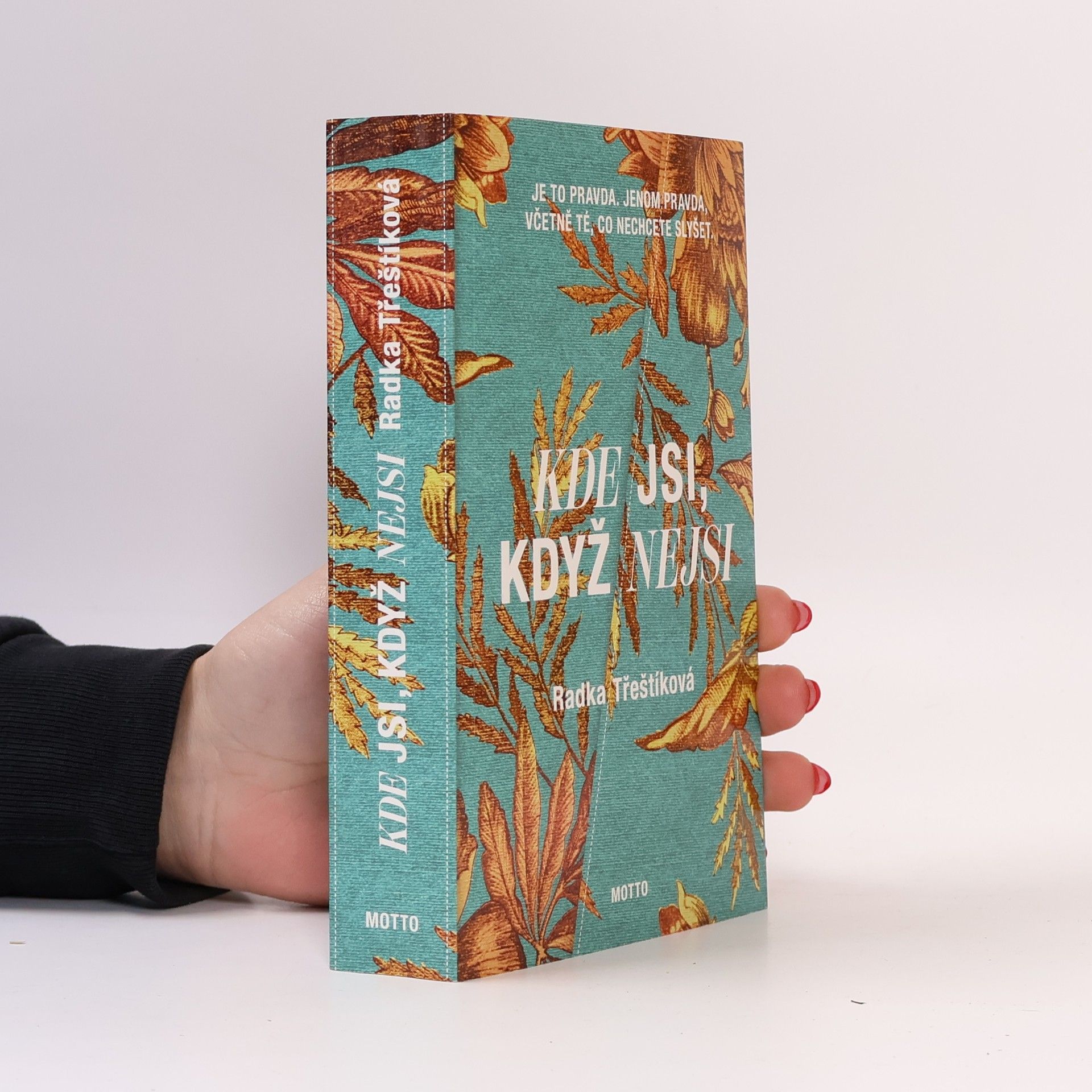 Radka Třeštíková Kde jsi, když nejsi