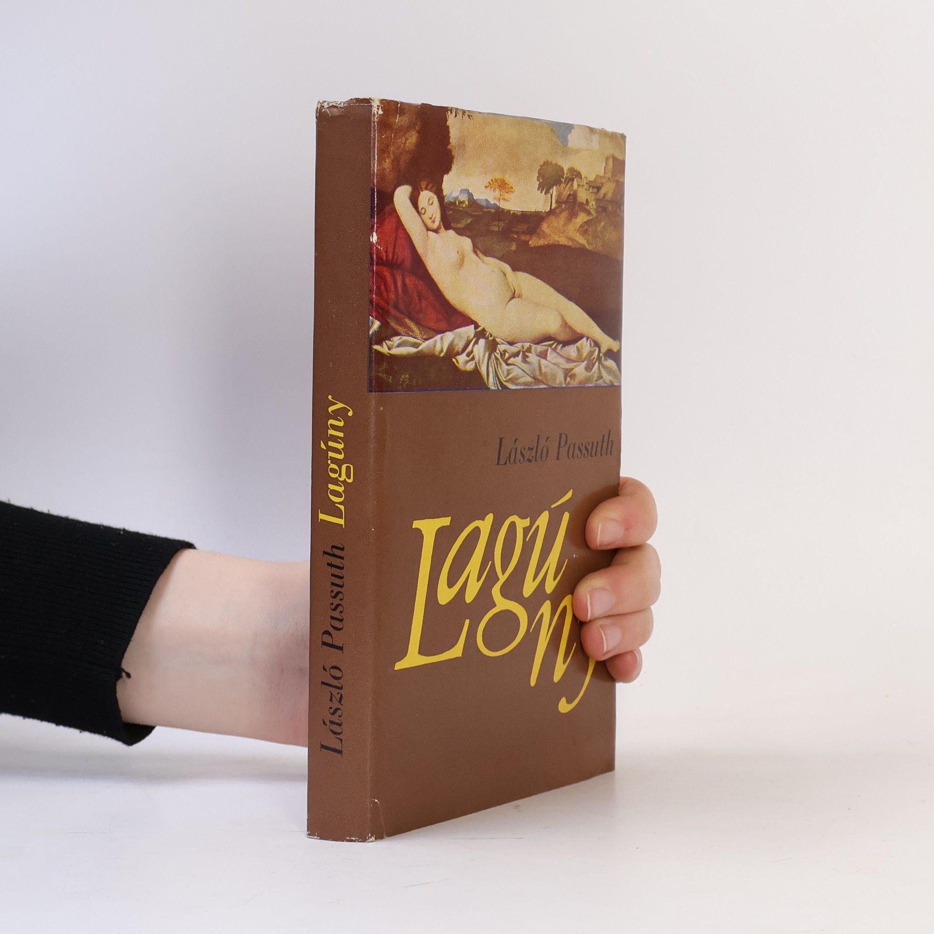 László Passuth Lagúny