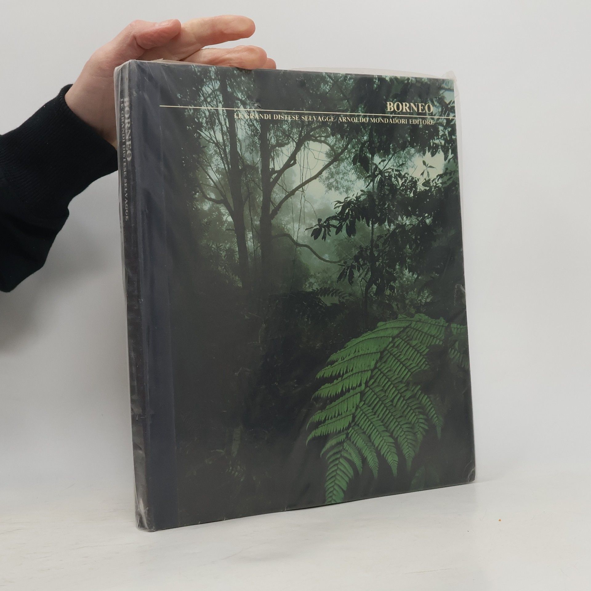 Autorenkollektiv Borneo