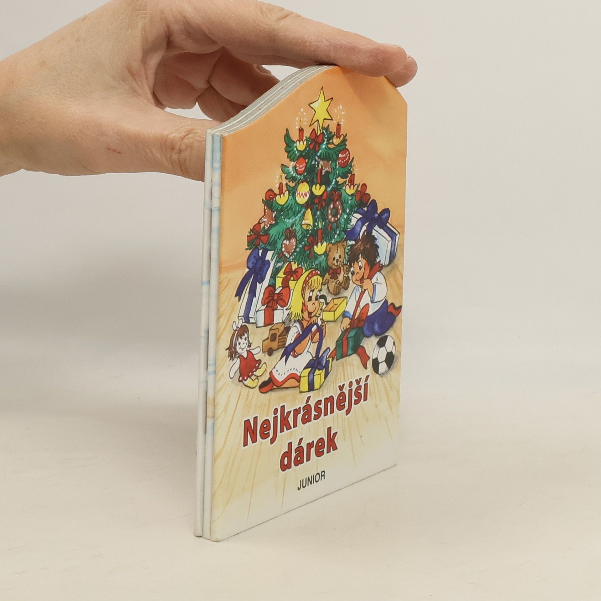 Kolektiv autorů Nejkrásnější dárek