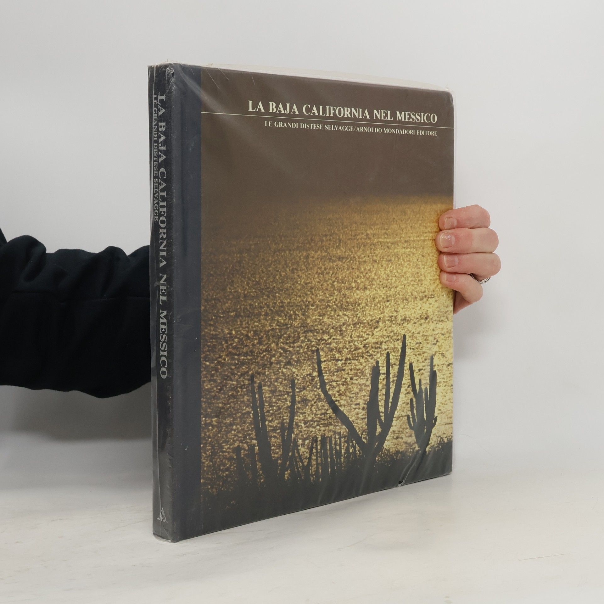 Autorenkollektiv La Baja California nel Messico