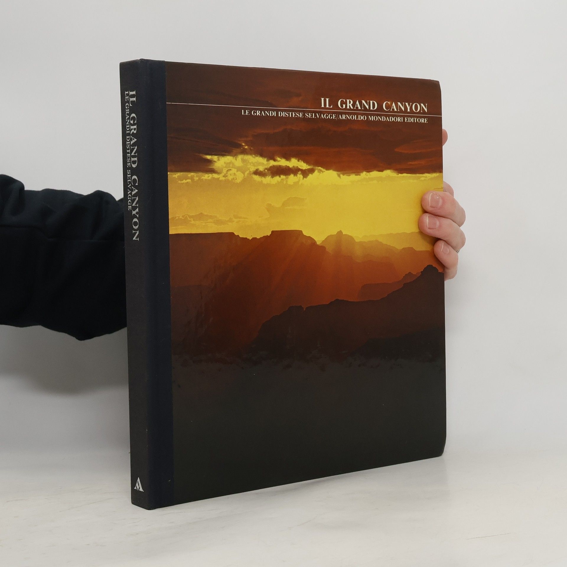 Collectif d'auteurs Il Grand Canyon