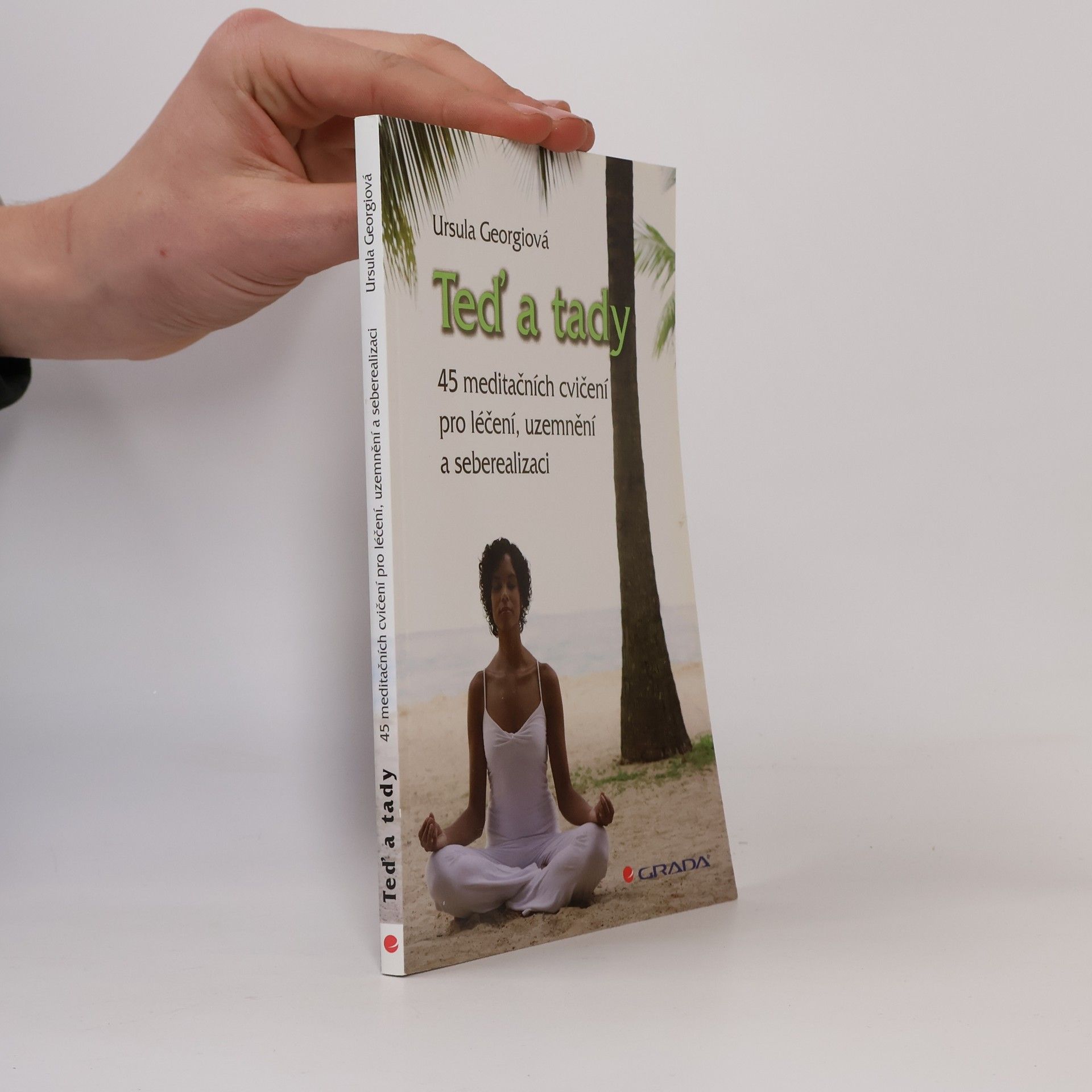 Ursula Georgii Teď a tady. 45 meditačních cvičení pro léčení, uzemnění a seberealizaci