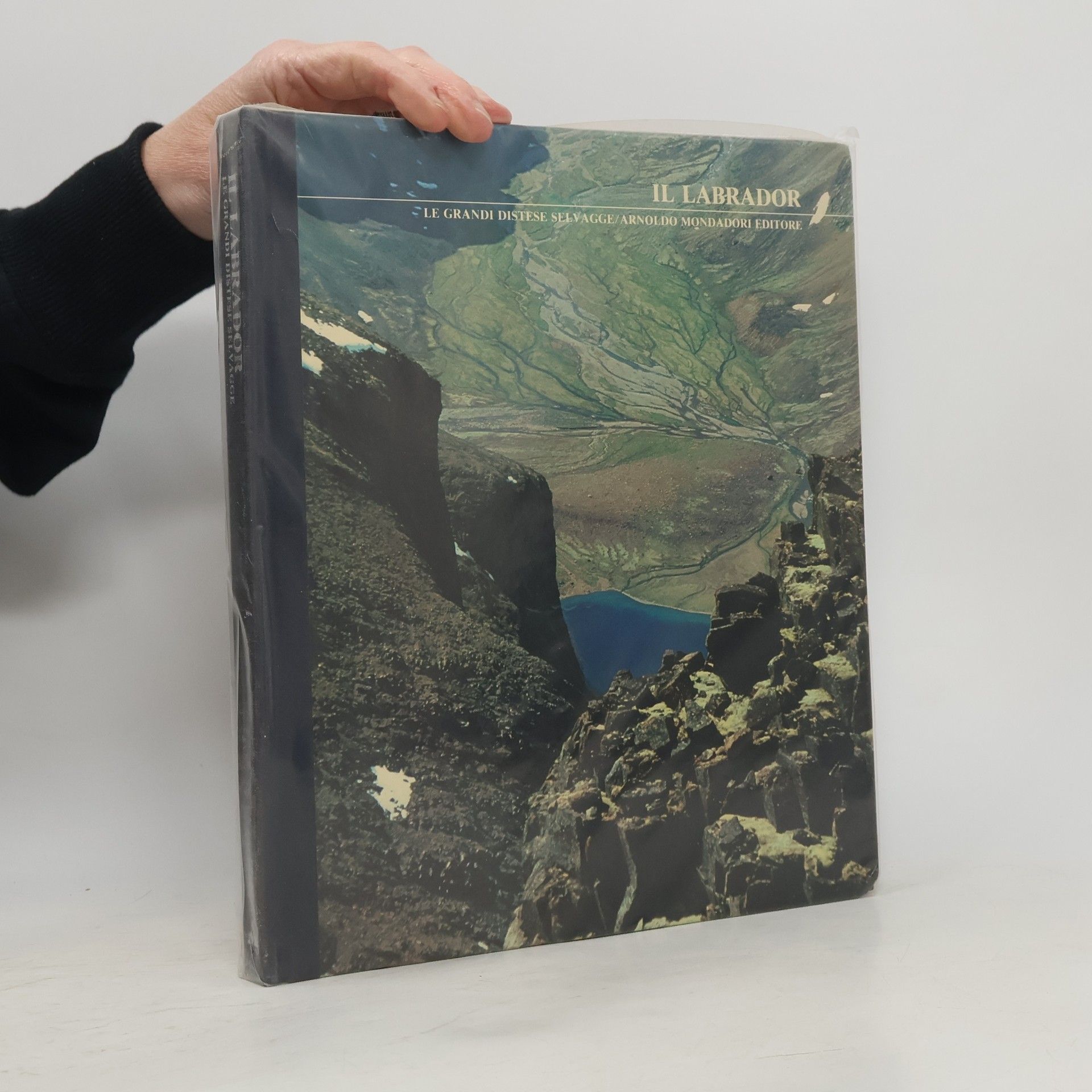 Autores varios Il Labrador