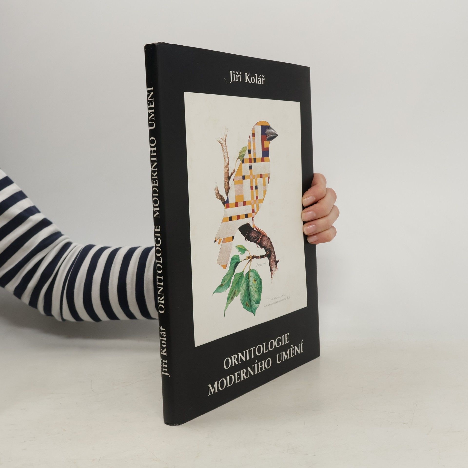 Jiří Kolář Ornitologie moderního umění. The ornitology of modern art