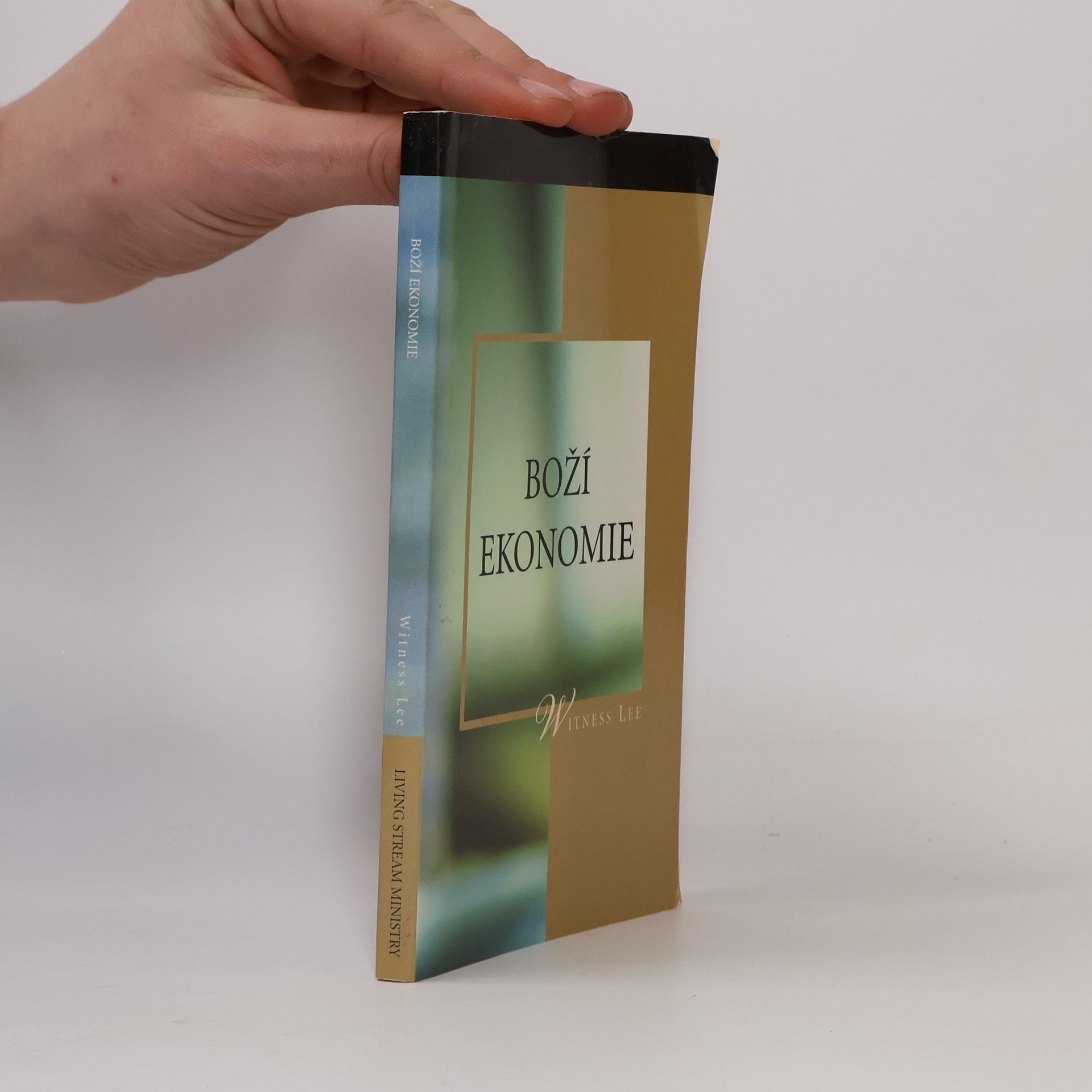 Witness Lee Boží ekonomie